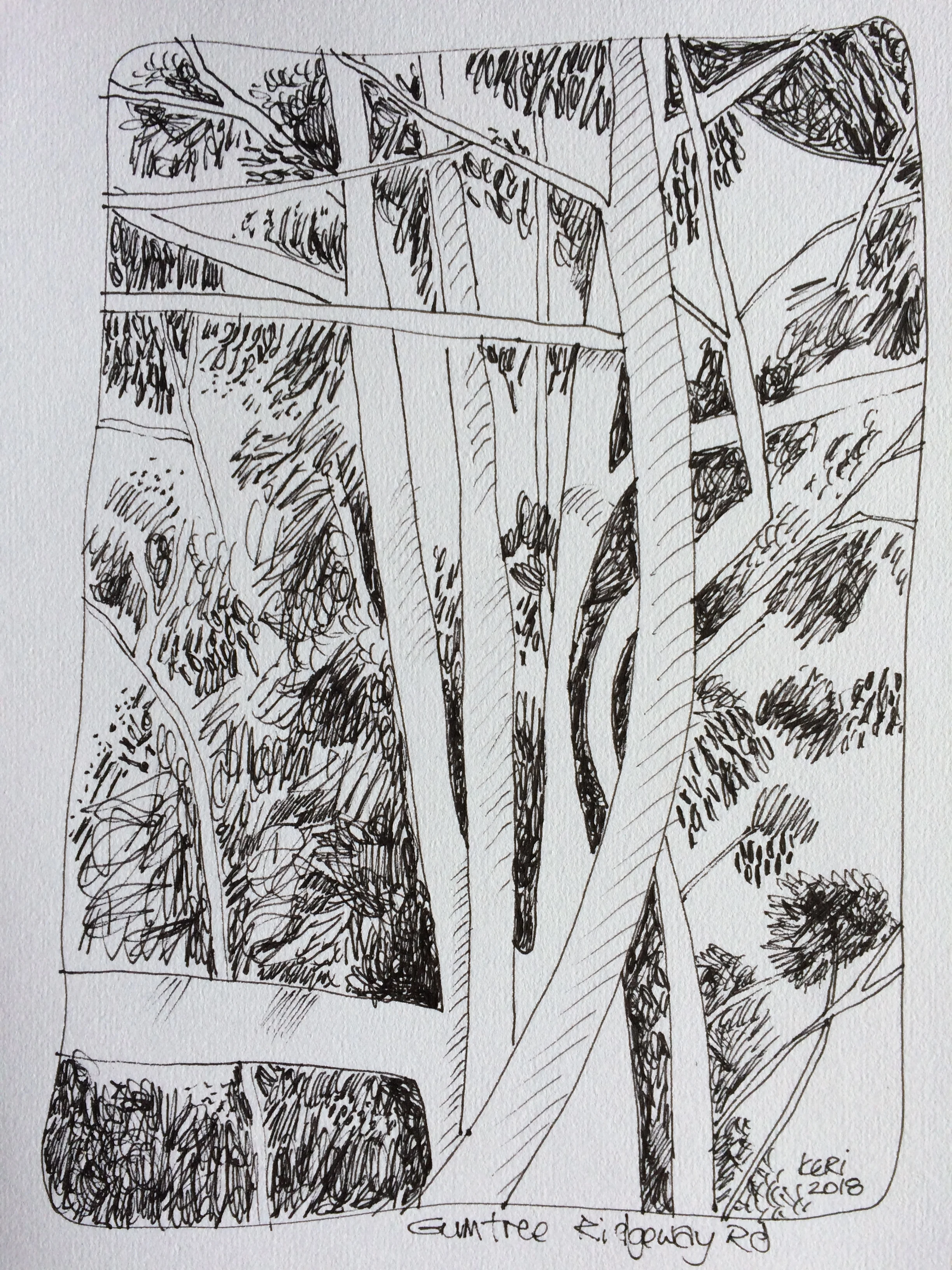 I love Australian trees 2. Pen on paper. A4.