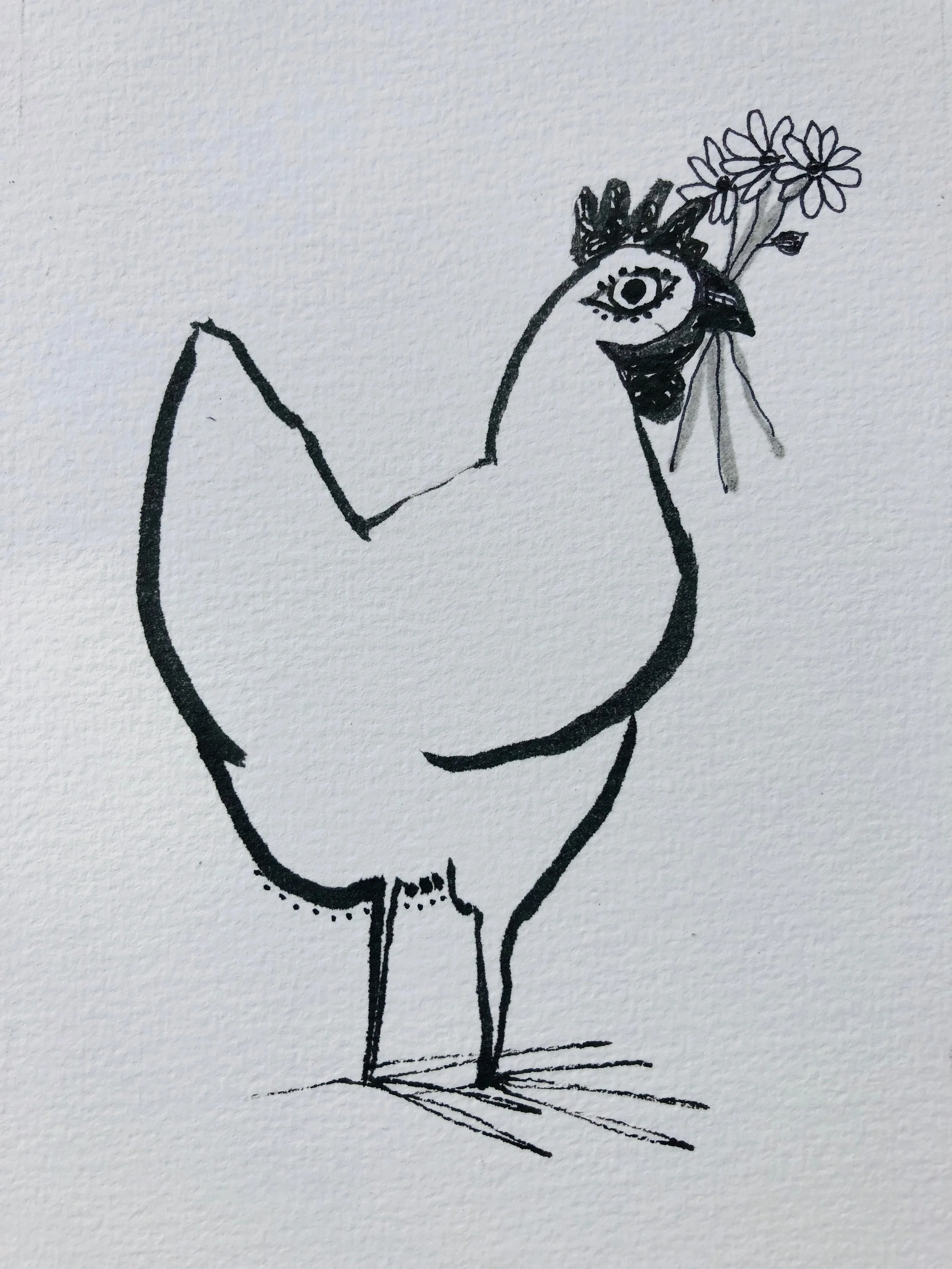 Chicken with daisies