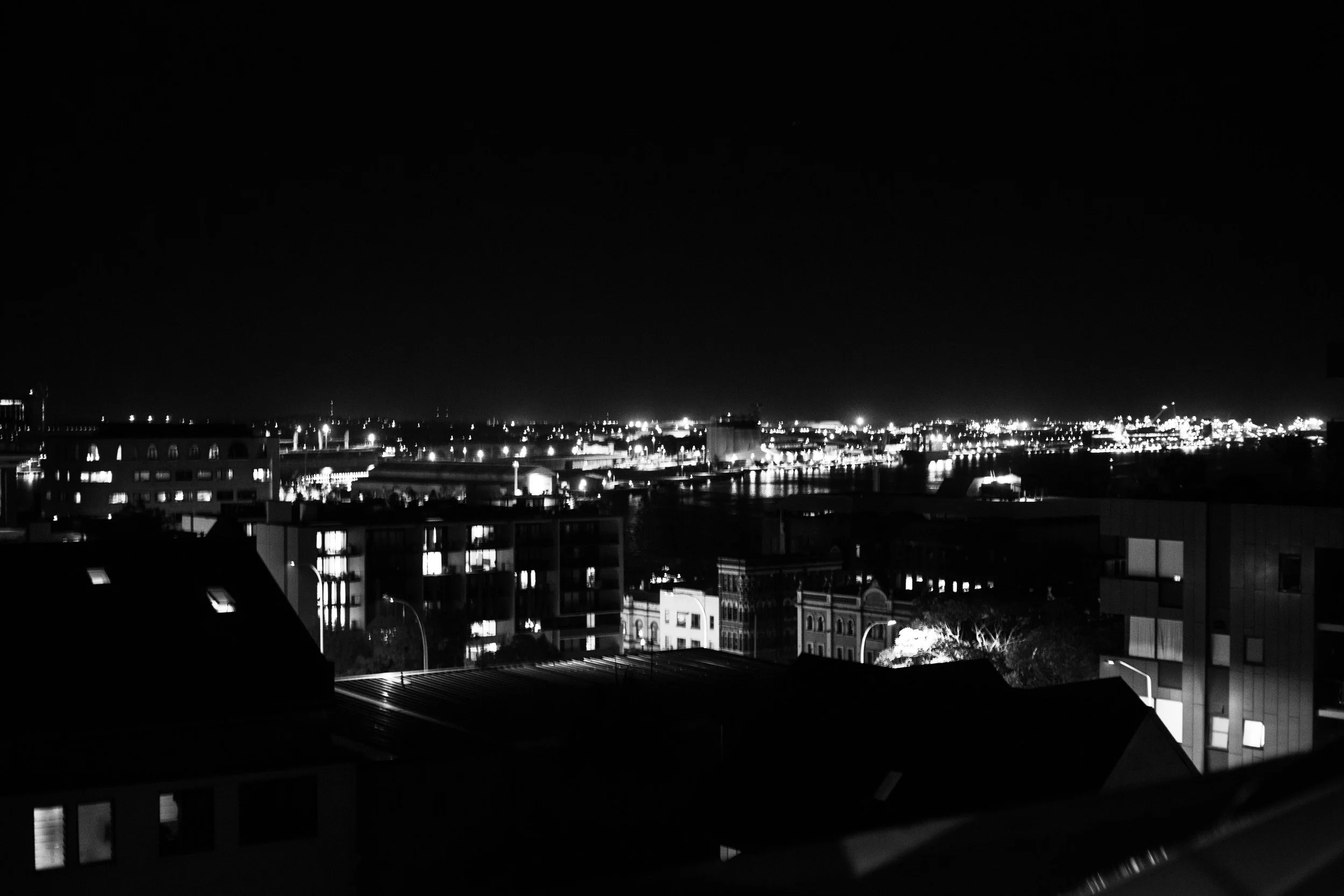 Horse_Rootop_AlexknoxCreative-9909.jpg