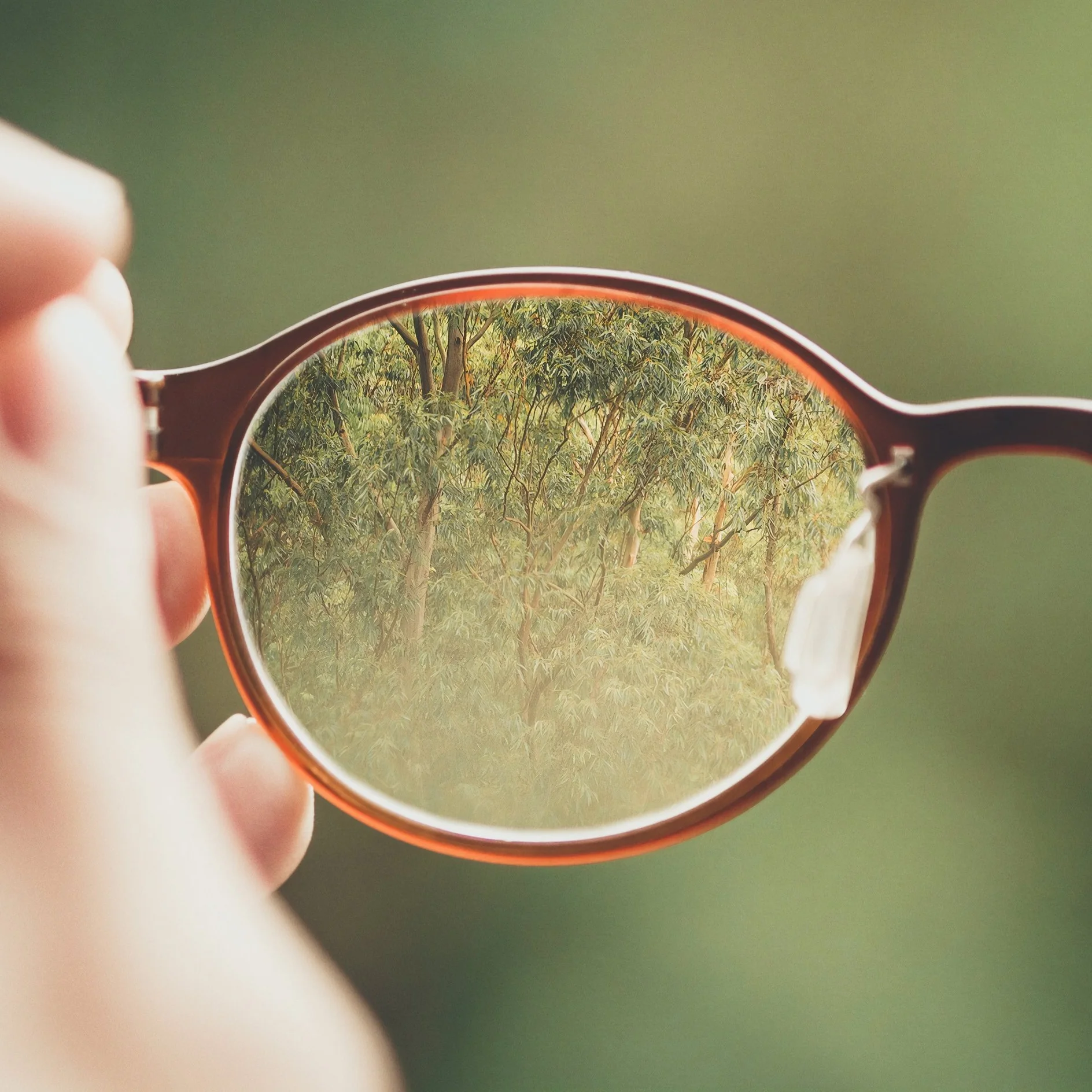 vintage sunglasses shop