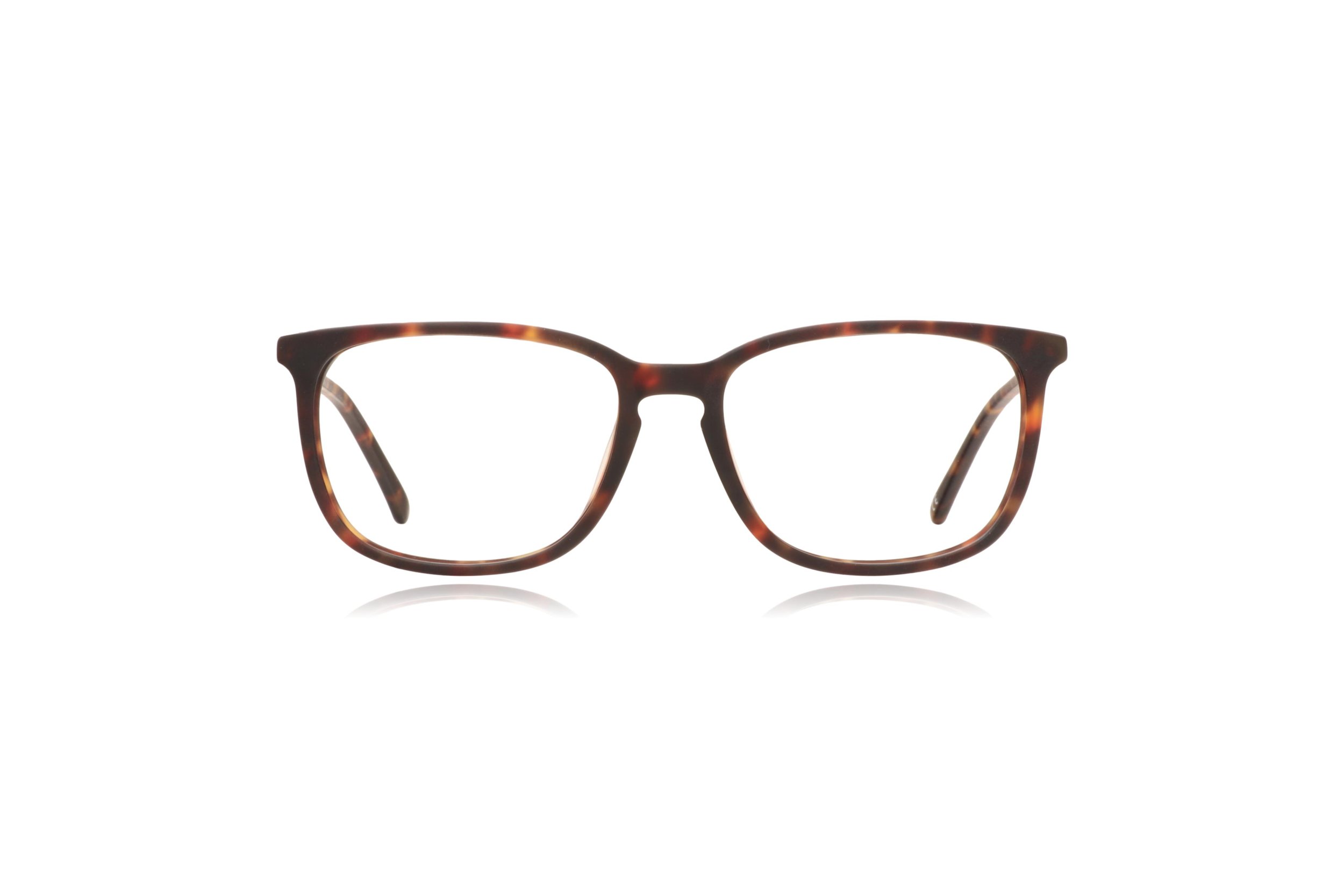 Peep Eyewear, London Retro Lucas, Matte Havana, Square Acetate, 