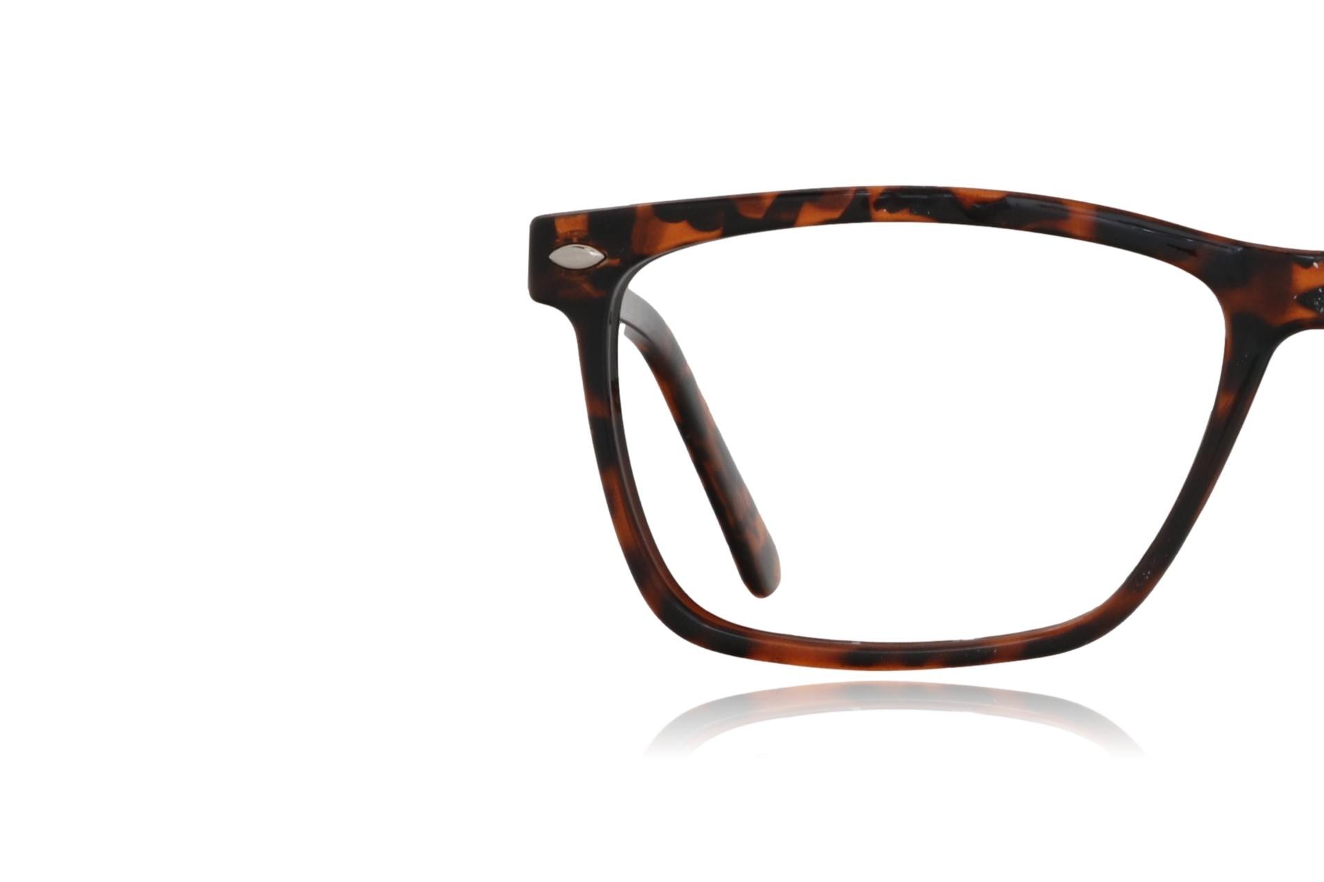 peep eyewear, pocket friendly tortoiseshell glasses Zips 4051 (1).jpeg