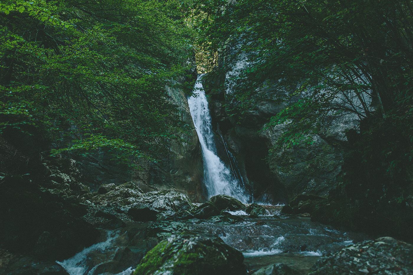 Bei walden werden für die Massivholzküchen nur natürliche Rohstoffe verwendet und nur mit Naturöl veredelt.
