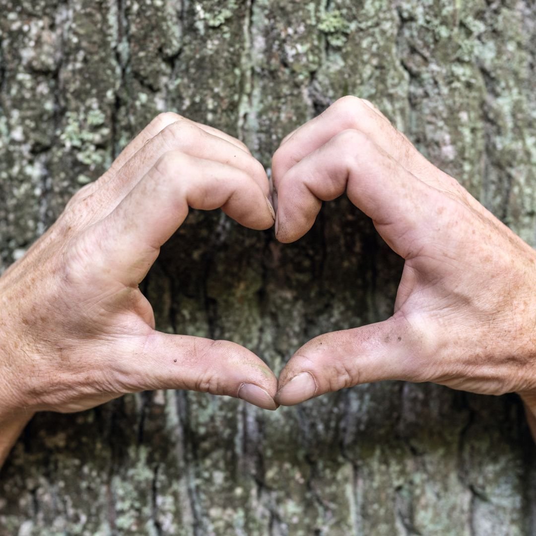 Liebe zur Natur ist eine Leidenschaft, die uns alle verbindet. Es geht darum, die Sch&ouml;nheit der B&auml;ume zu bewundern und zu sch&uuml;tzen. Sie sind das gr&uuml;ne Herz unserer Erde. 

Wir w&uuml;nschen euch allen einen sch&ouml;nen internatio