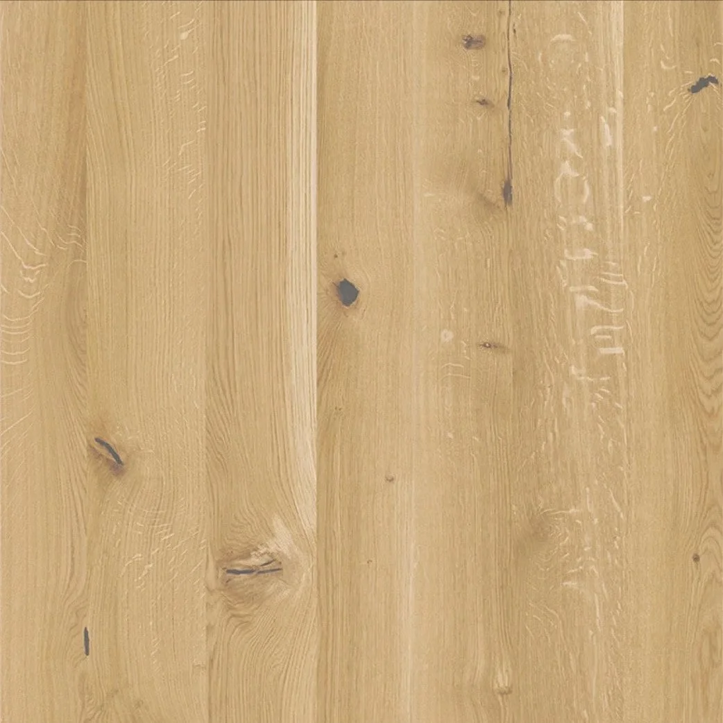 Eiche wild weiß (Kopie)