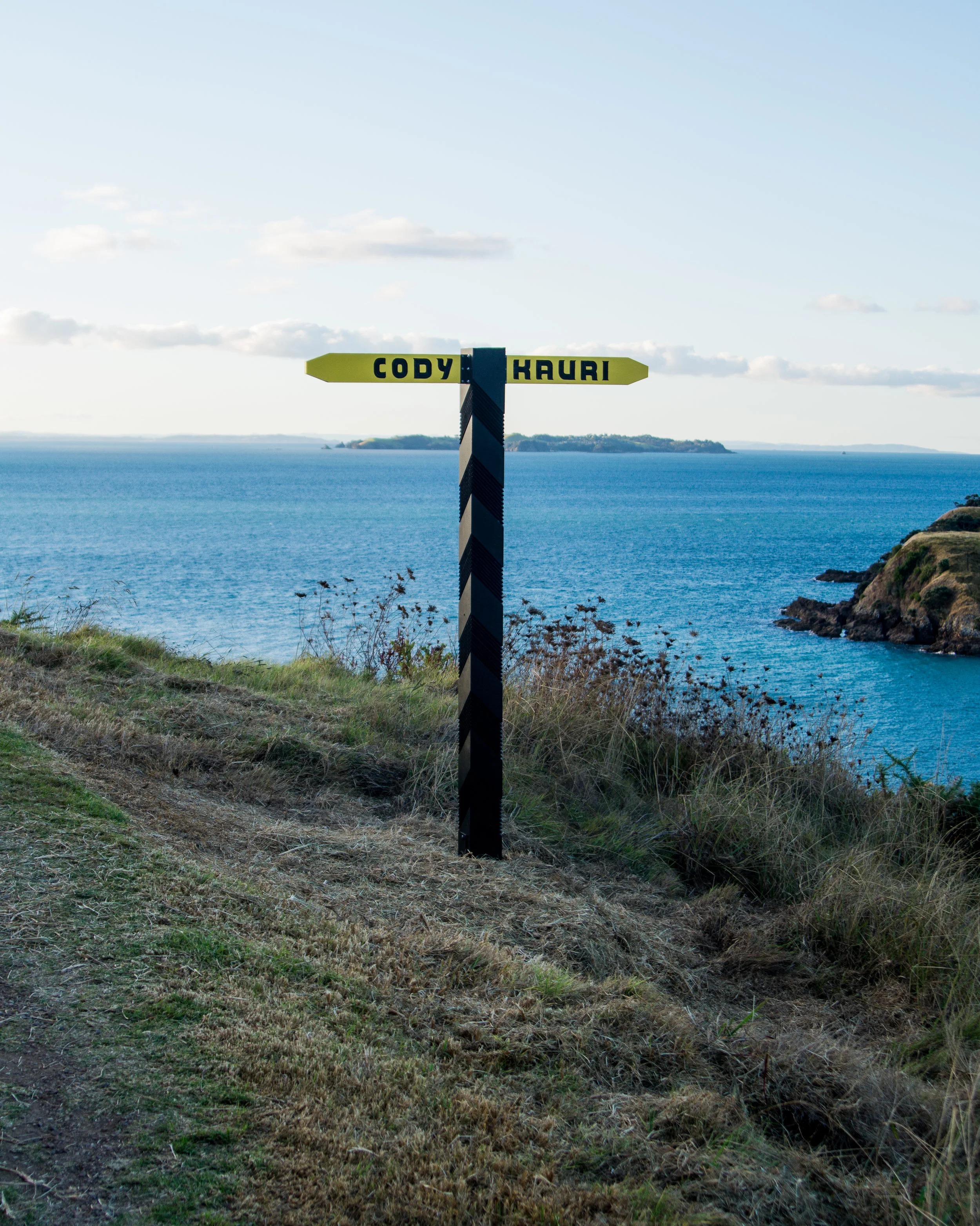Kauri Pou Whenua-6.jpg