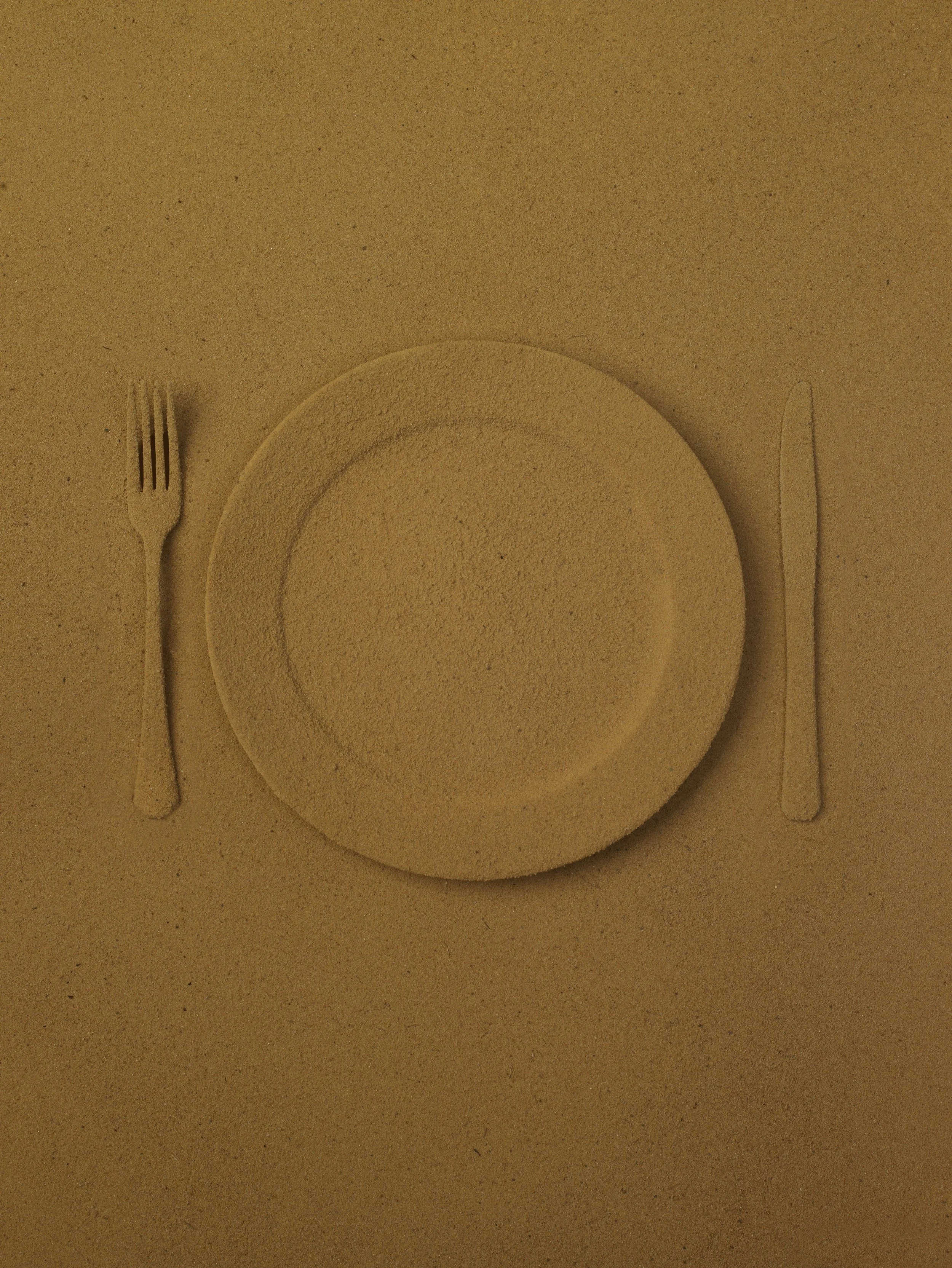 Plate1 Plate1 003.jpg