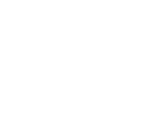 Lodestar Reverse.png