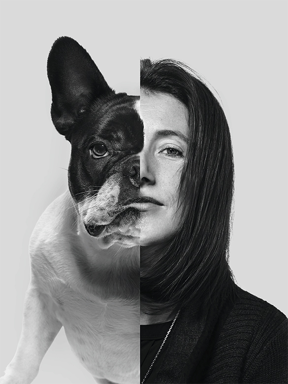 Year of the dog.