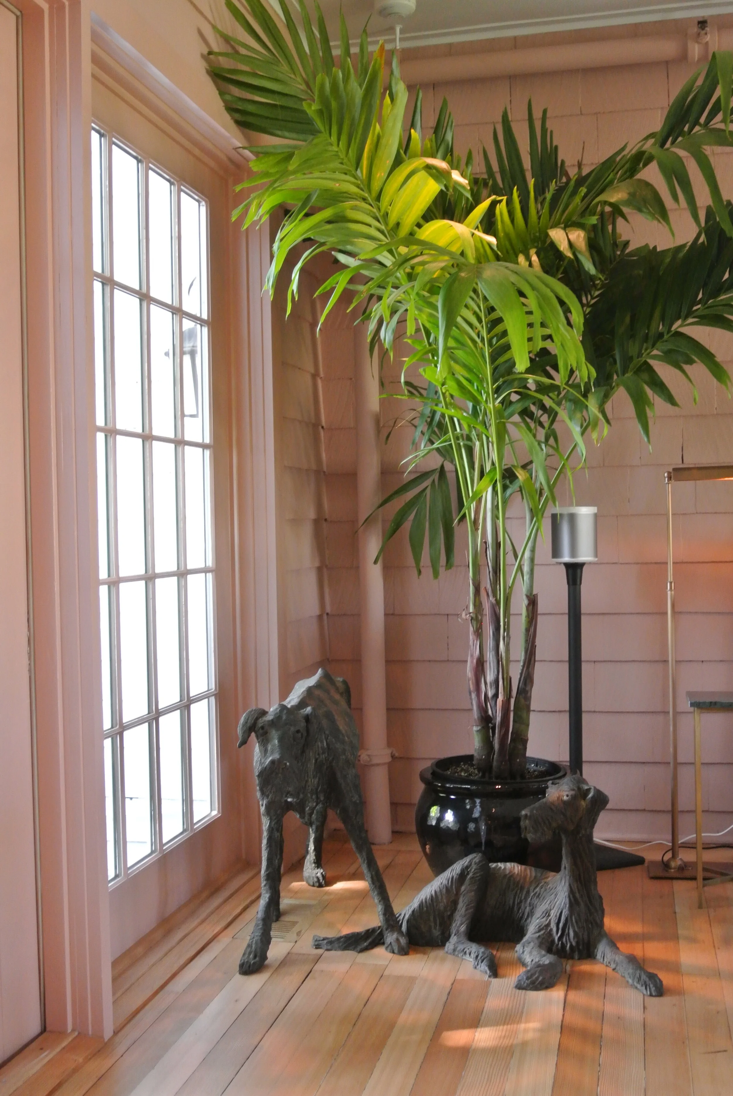 Maidstoen Chantal max.JPG