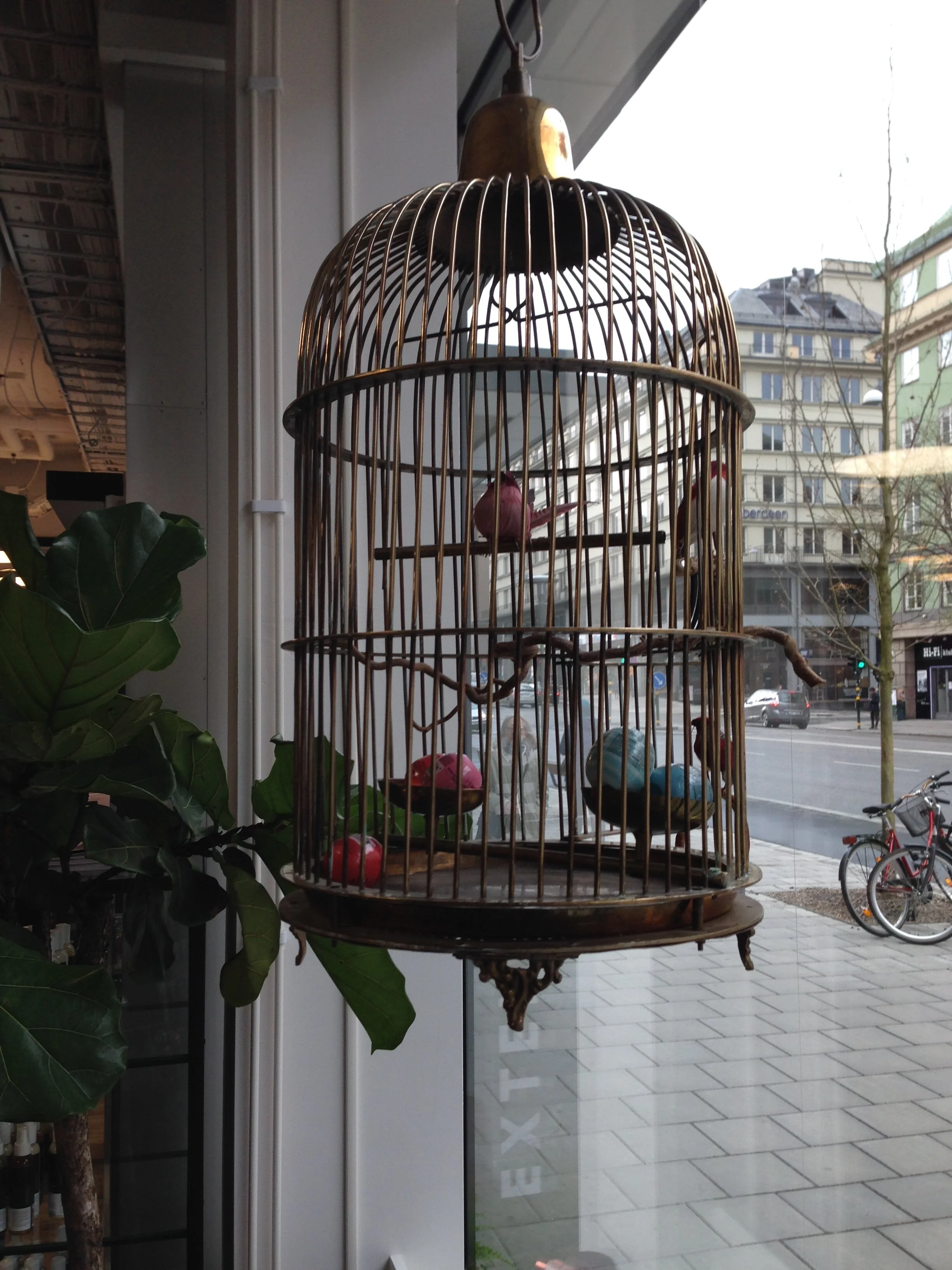 Corinne fågelbur.JPG