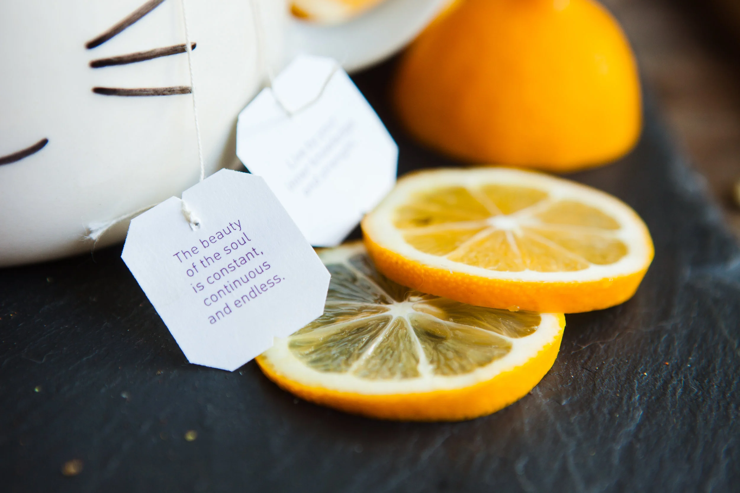 APPLE-CIDER-VINEGAR-TEA-0004.jpg