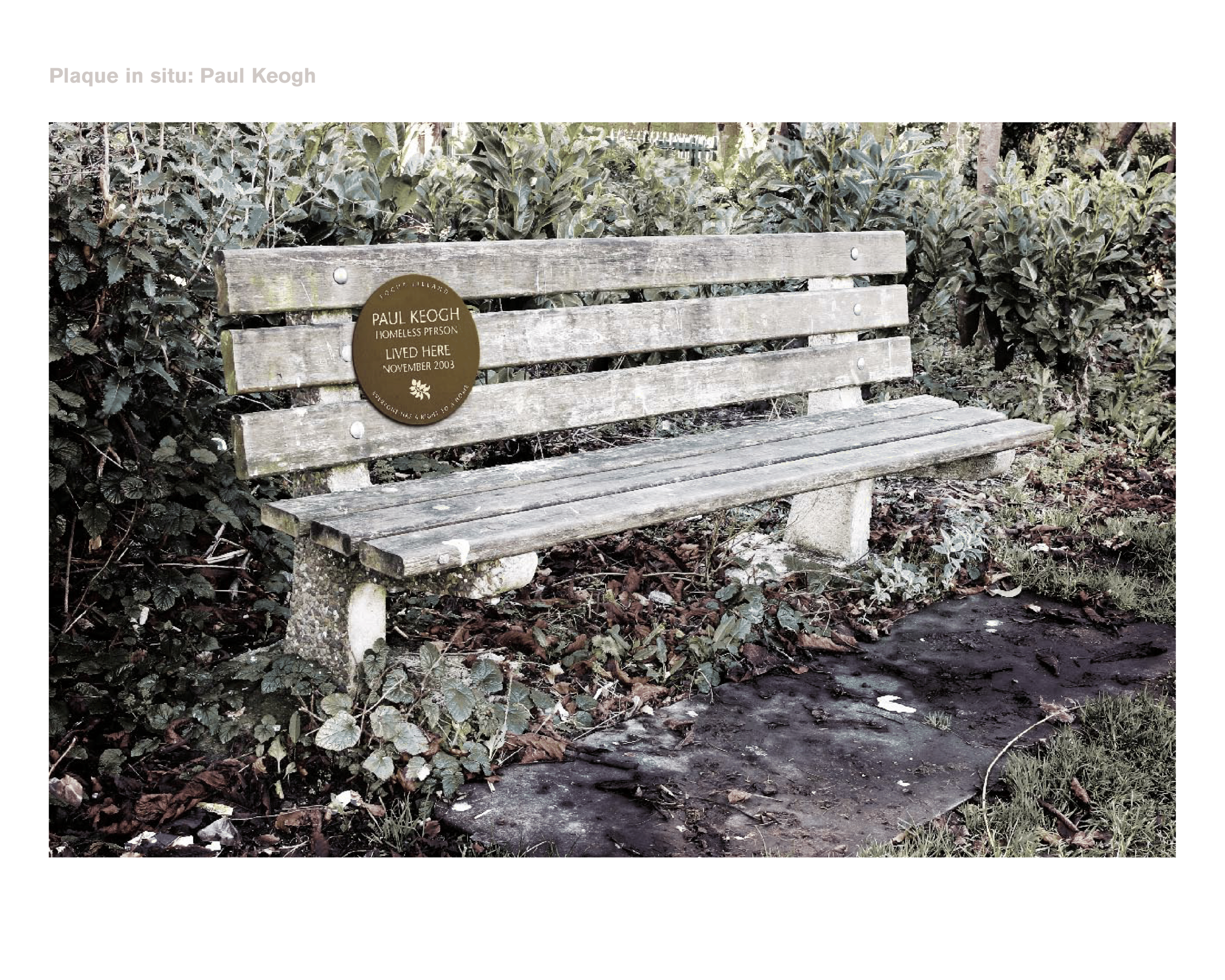 Focus Ambient Campaign-6.png