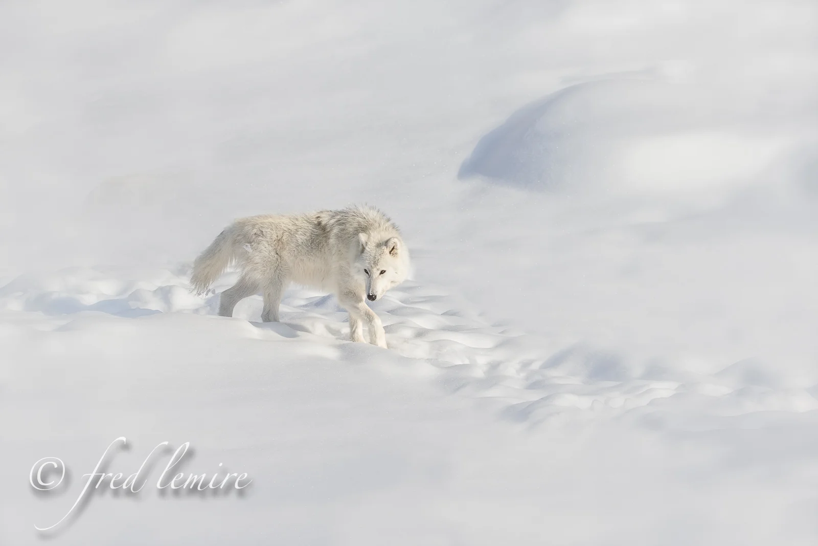 _J3O2302z-Edit-Edit-Edit-Edit.jpg