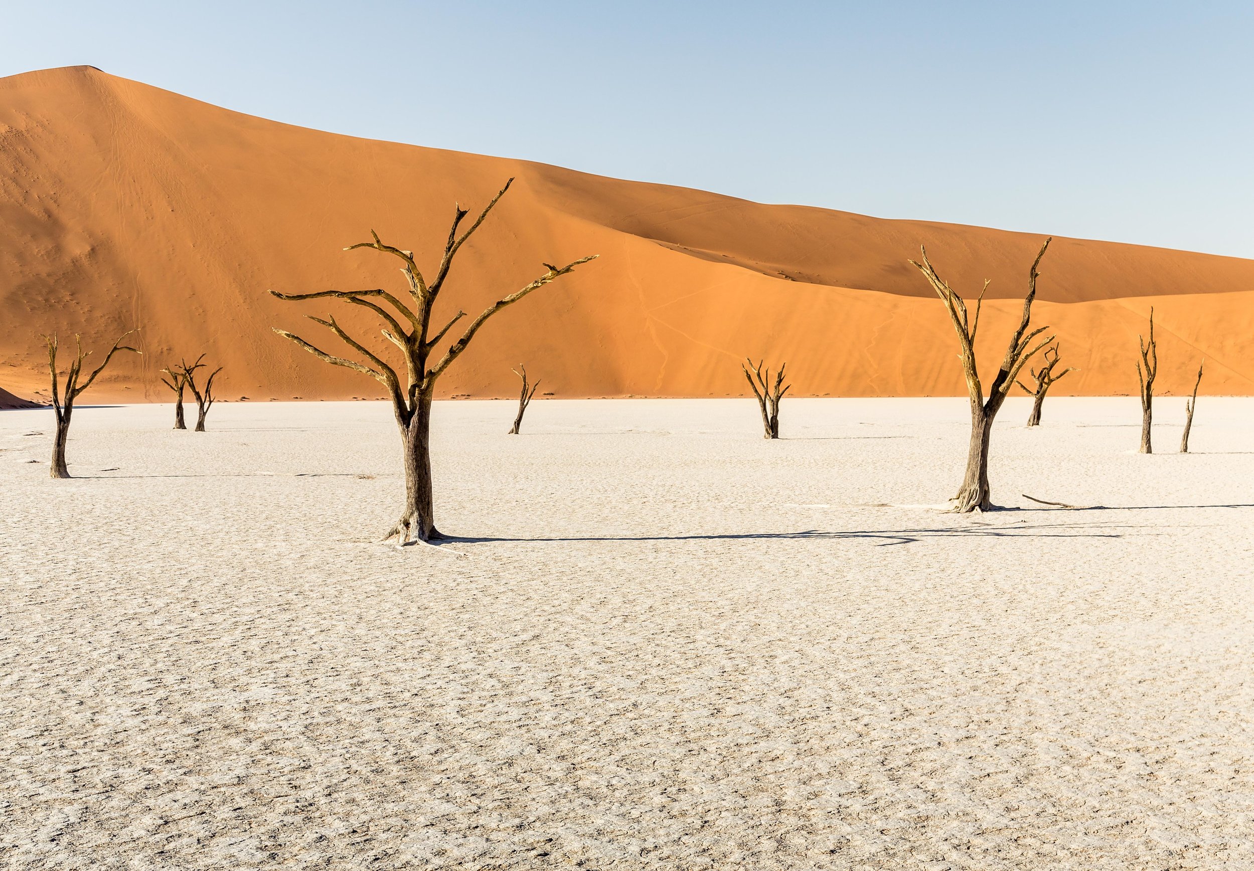 S.Confortola_Namibia2017_00127-Pano.jpg