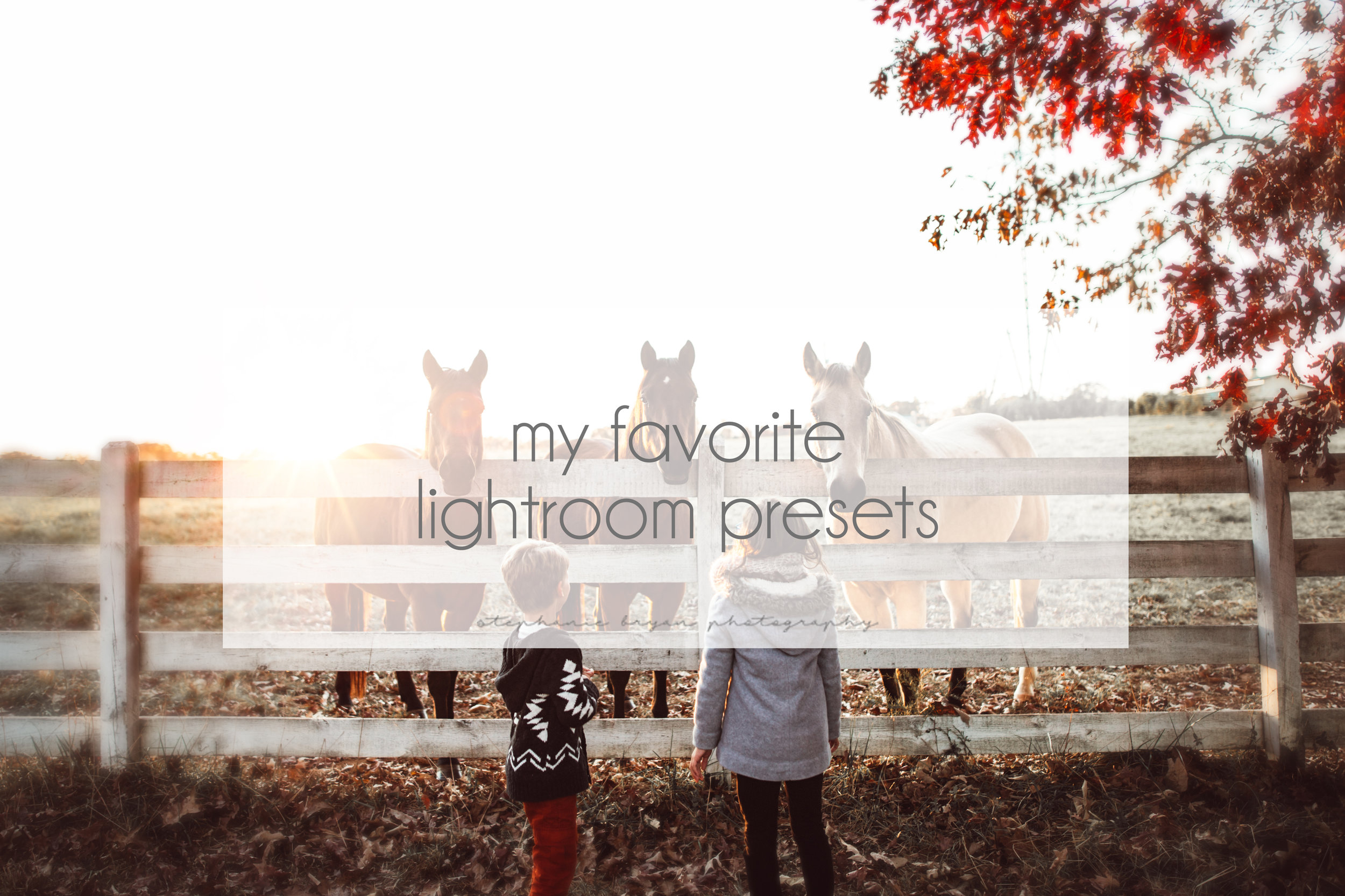 stephaniebryanphoto_lightroompresets.jpg