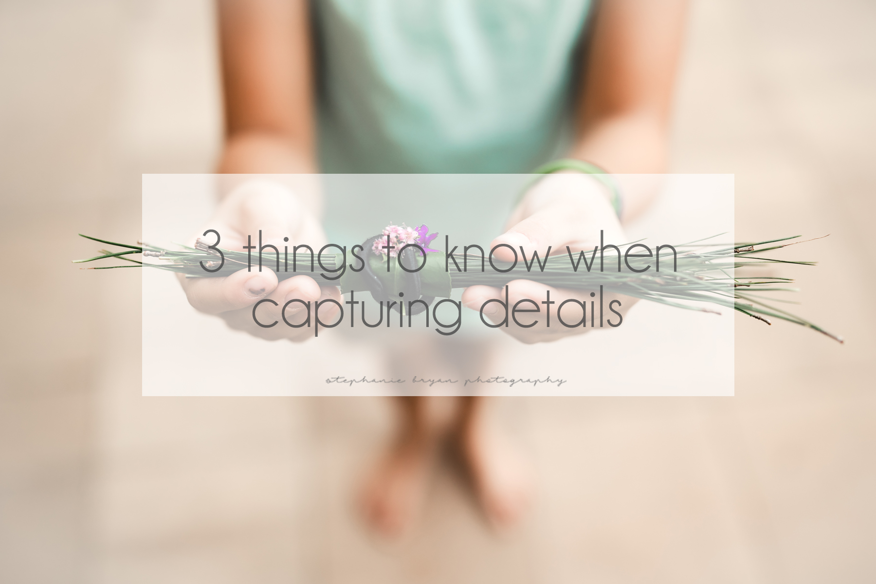 stephaniebryan-3thingstoknowdetails.jpg