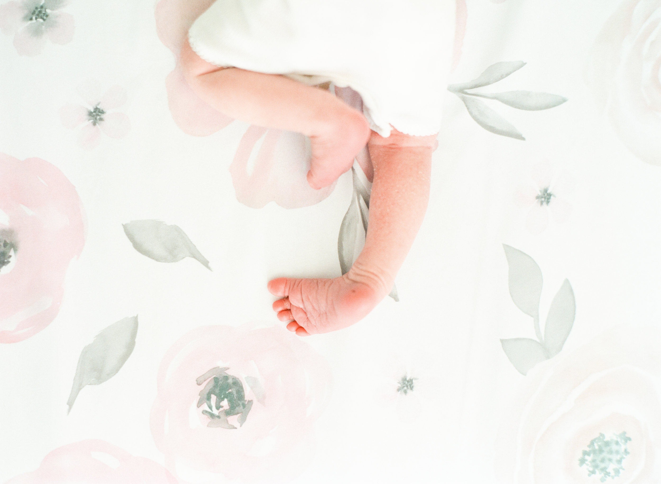 raleigh-newborn-photographer-film