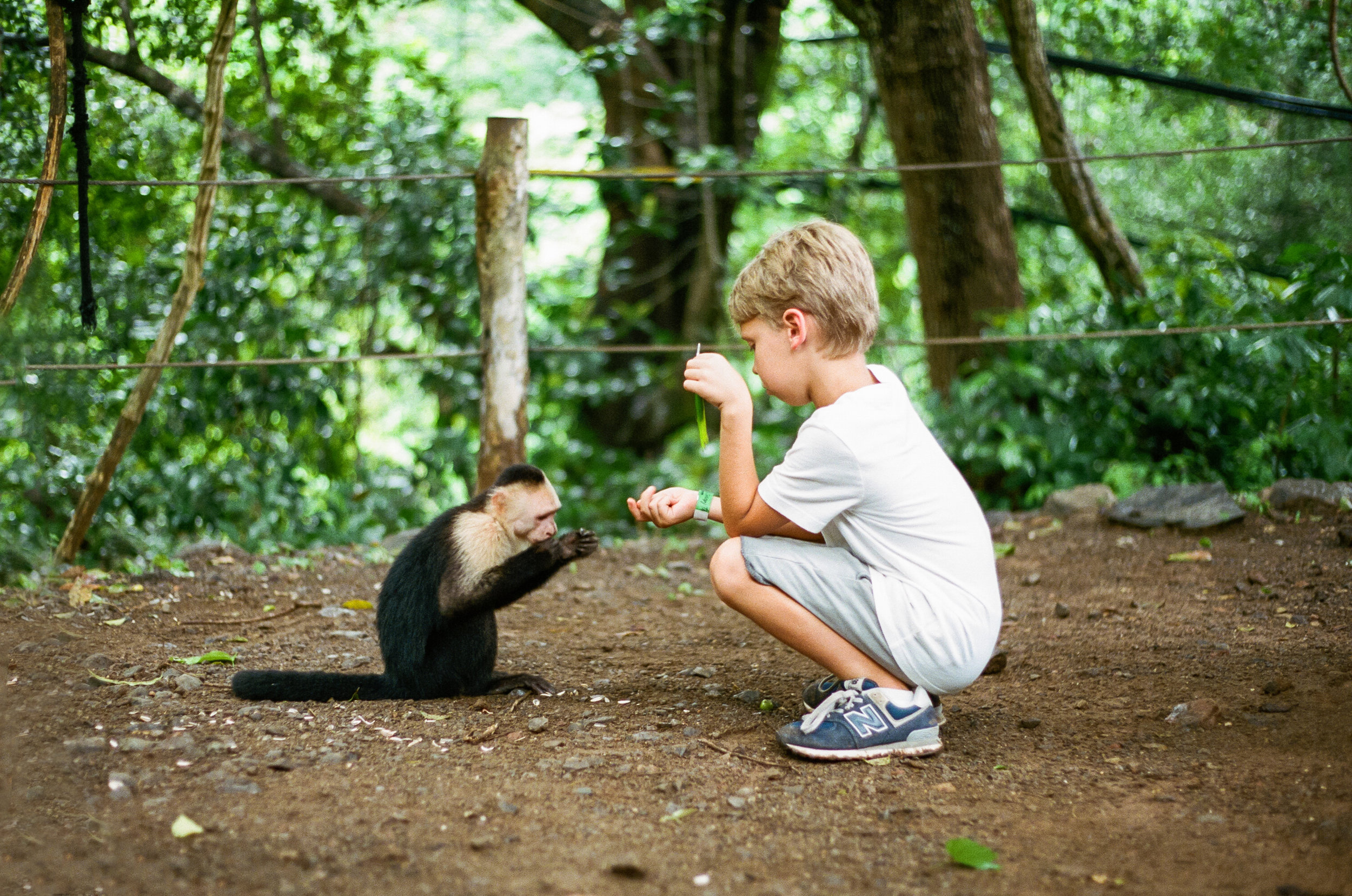 stephanie-bryan-photography-film-costa-rica-travel-photography