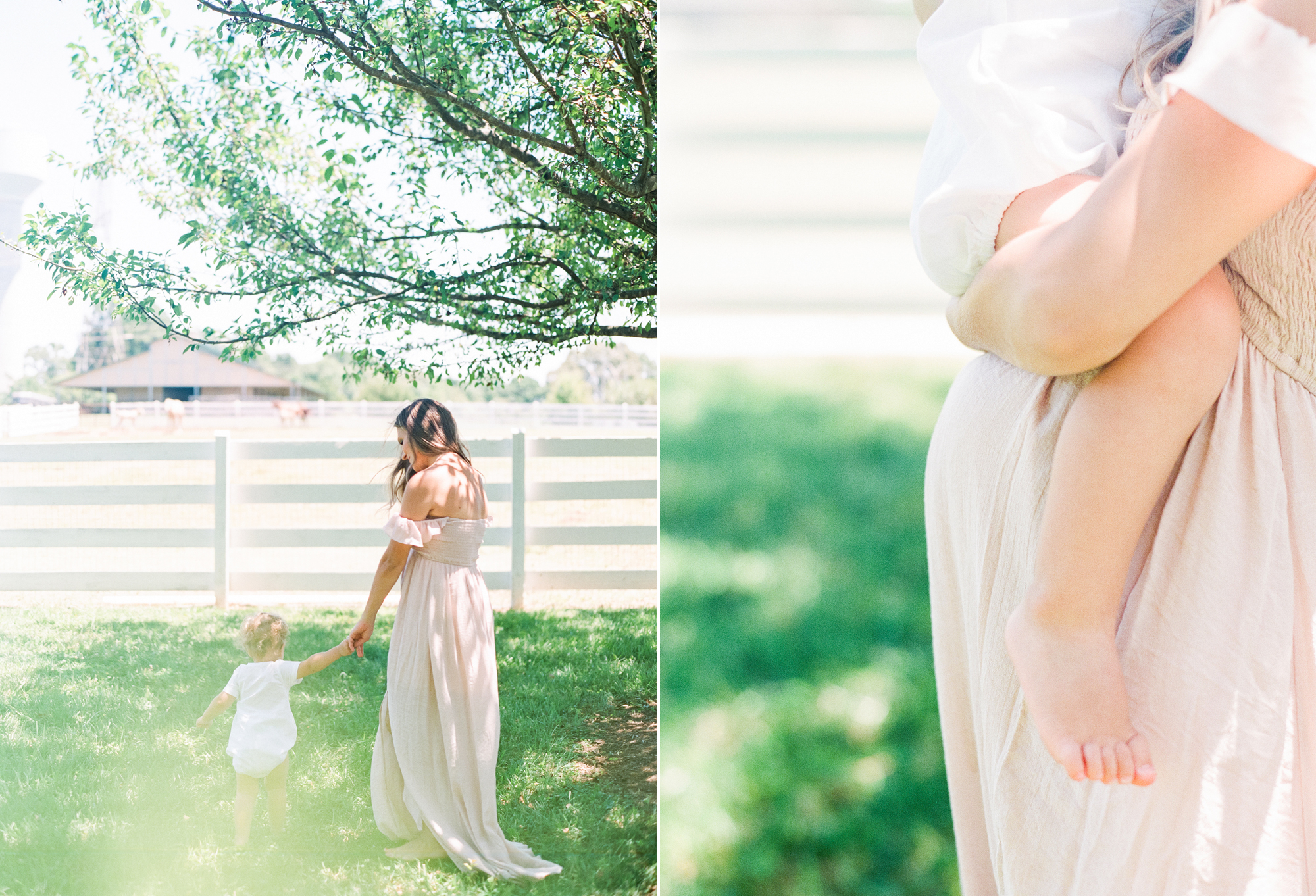 raleigh-maternity-family-film-photography