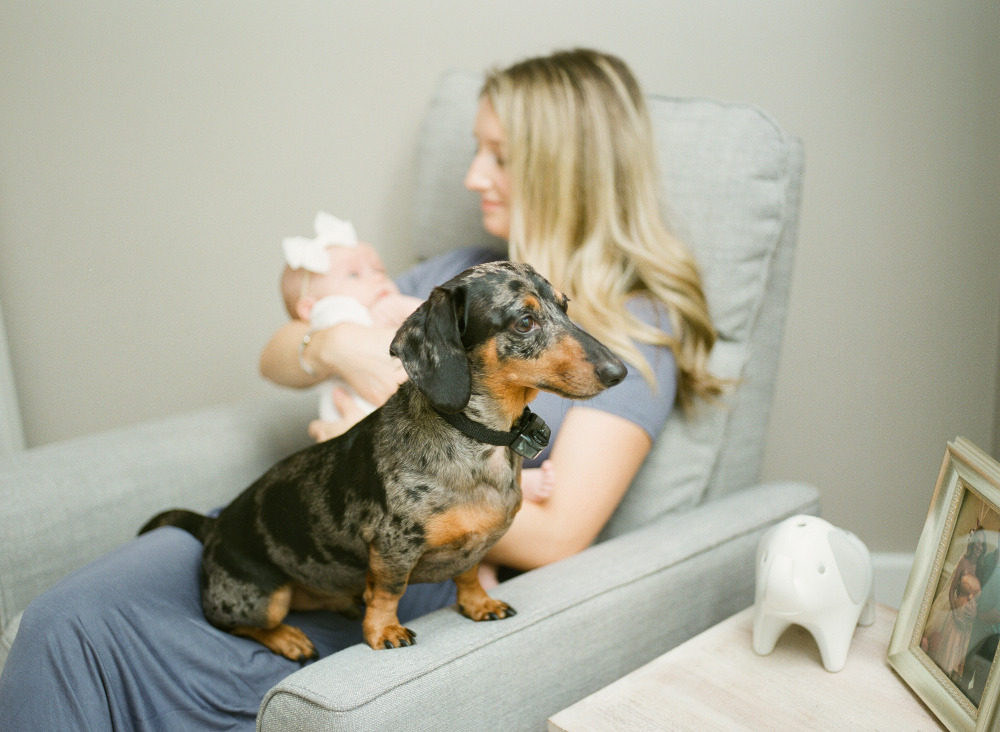 raleigh-lifestyle-home-film-photographer-six-weeks-old
