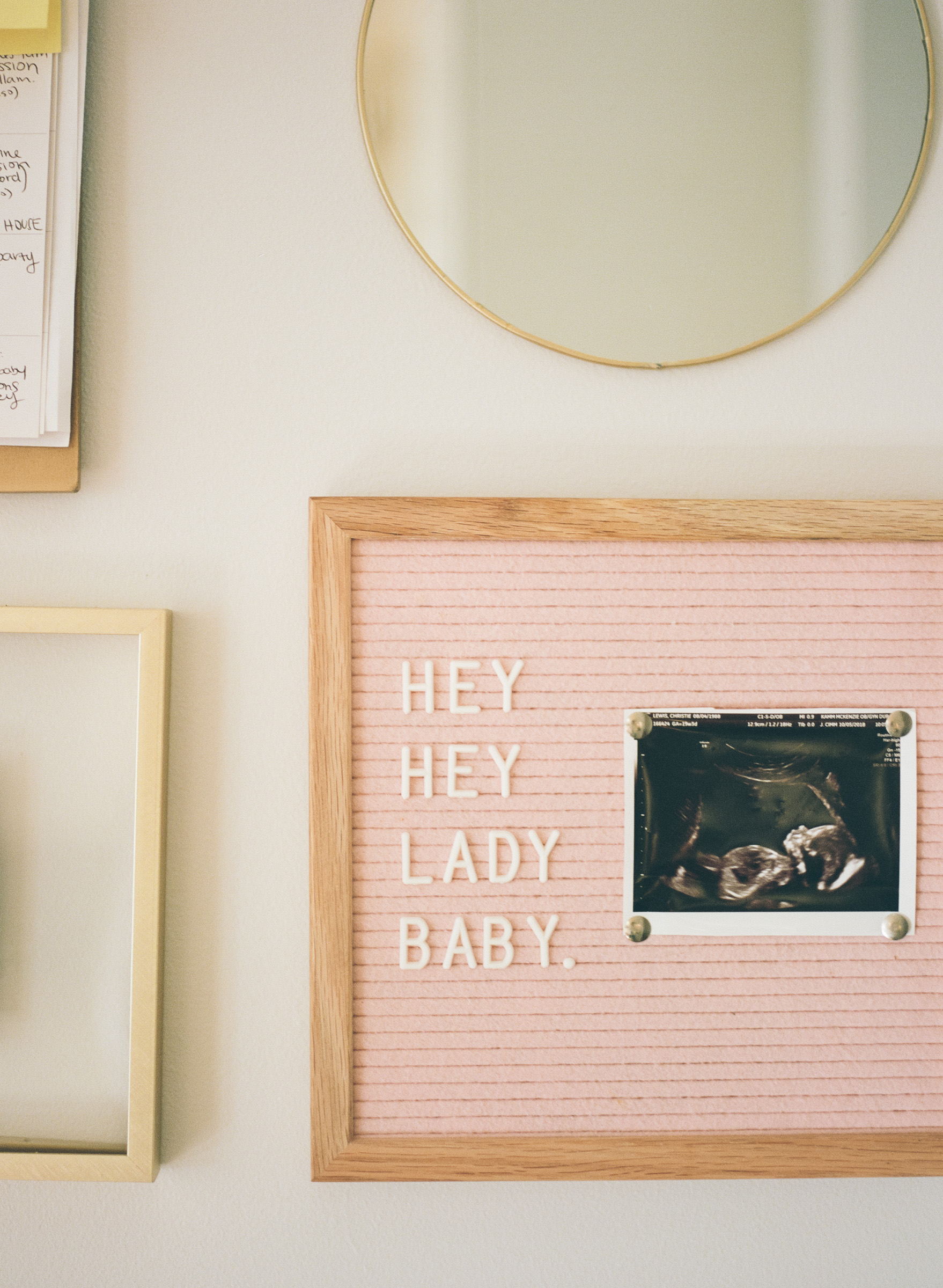 raleigh-family-film-photographer-home-session-maternity-baby-008