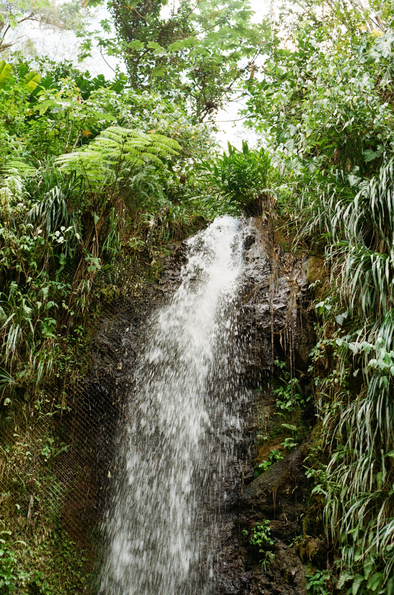 travel-photography-film-st-lucia-soufriere-waterfall