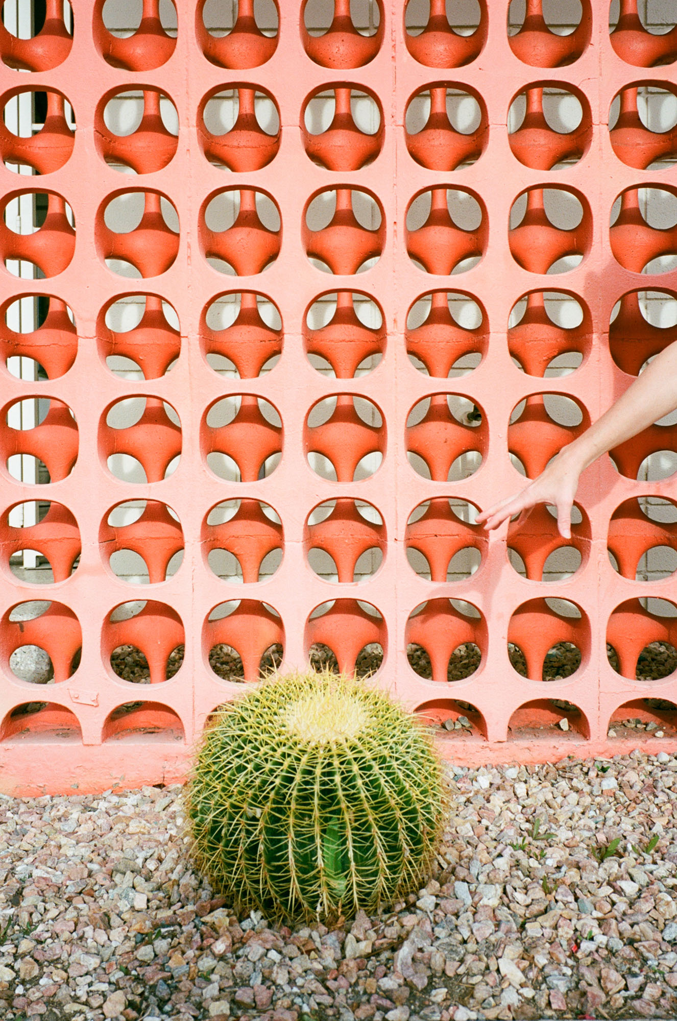 orange-wall-cactus-palm-springs-california-film-photography-travel-photographer-006