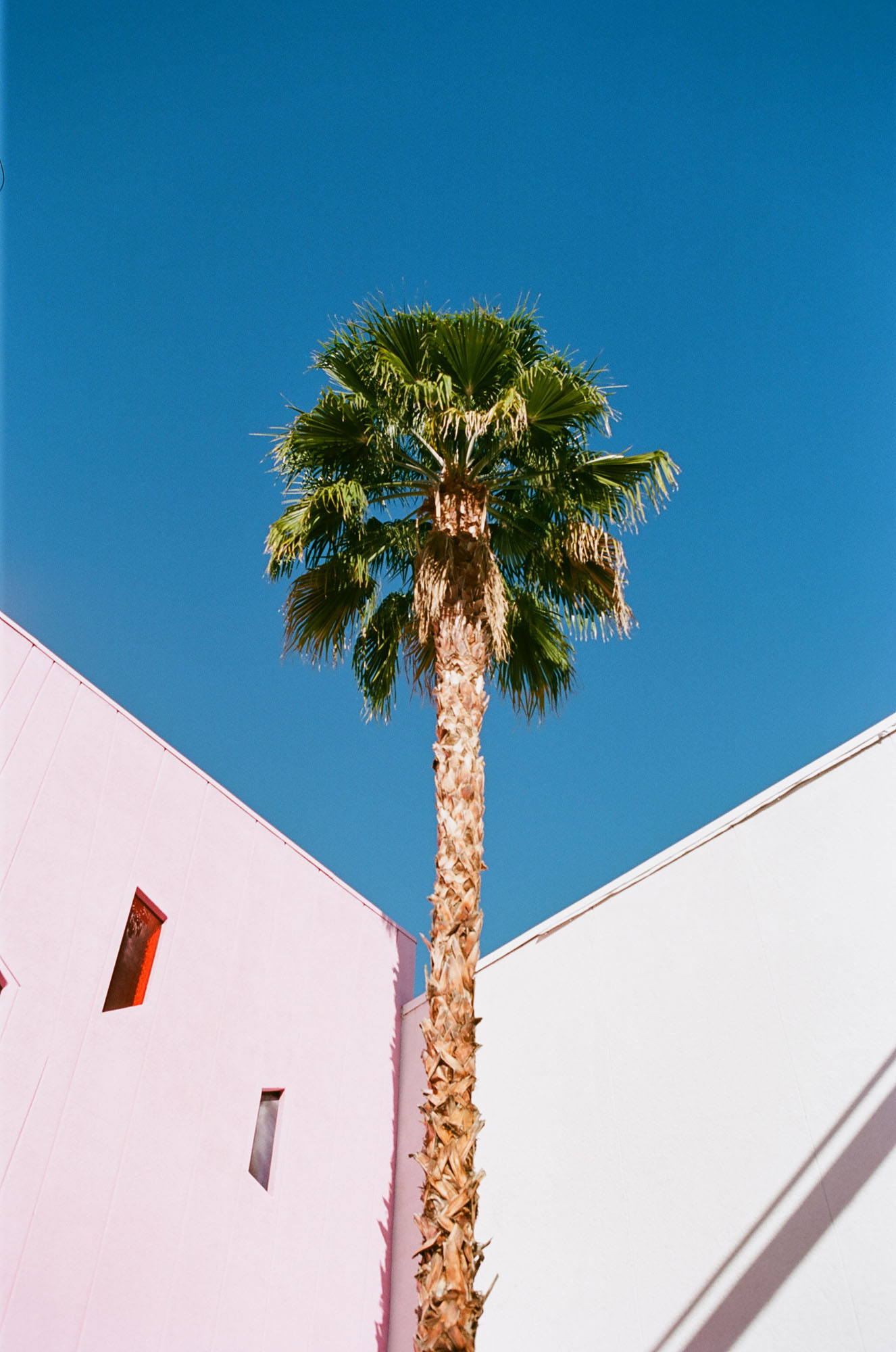 the-saguaro-hotel-palm-springs-california-film-photography-travel-photographer-007