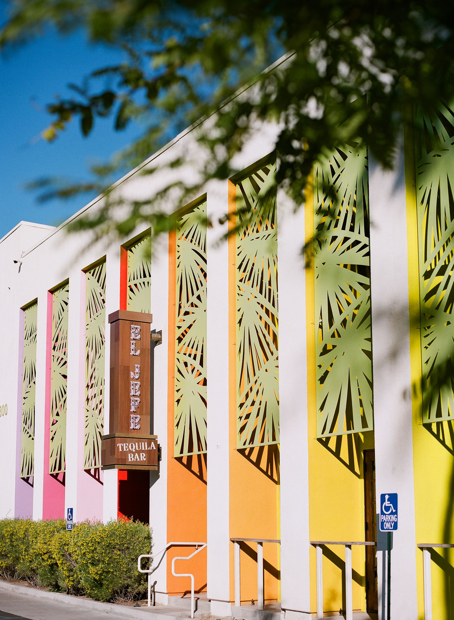 the-saguaro-hotel-palm-springs-california-film-photography-travel-photographer