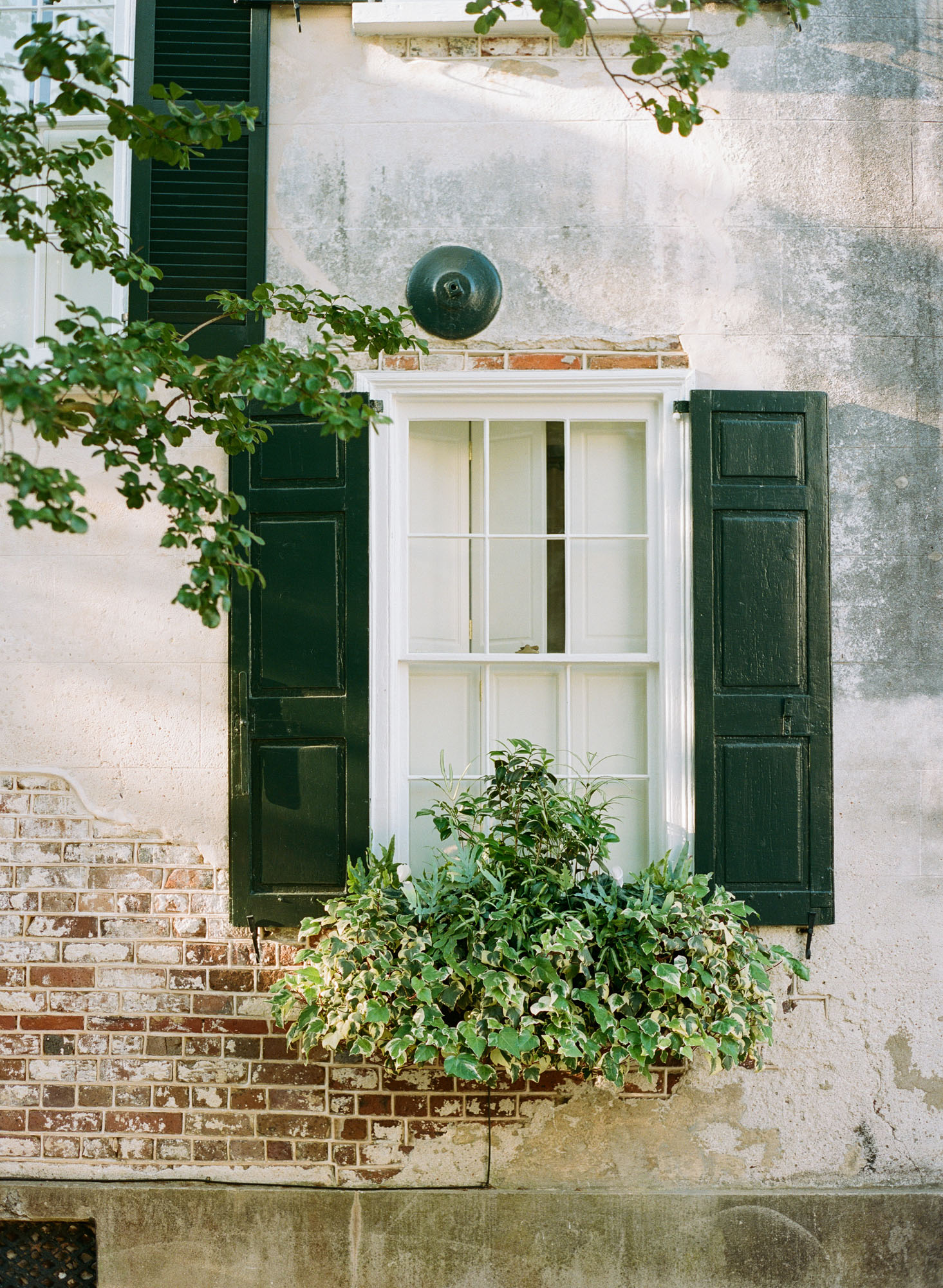 charleston-film-photography-35mm-film-analog-charleston-photographer-003