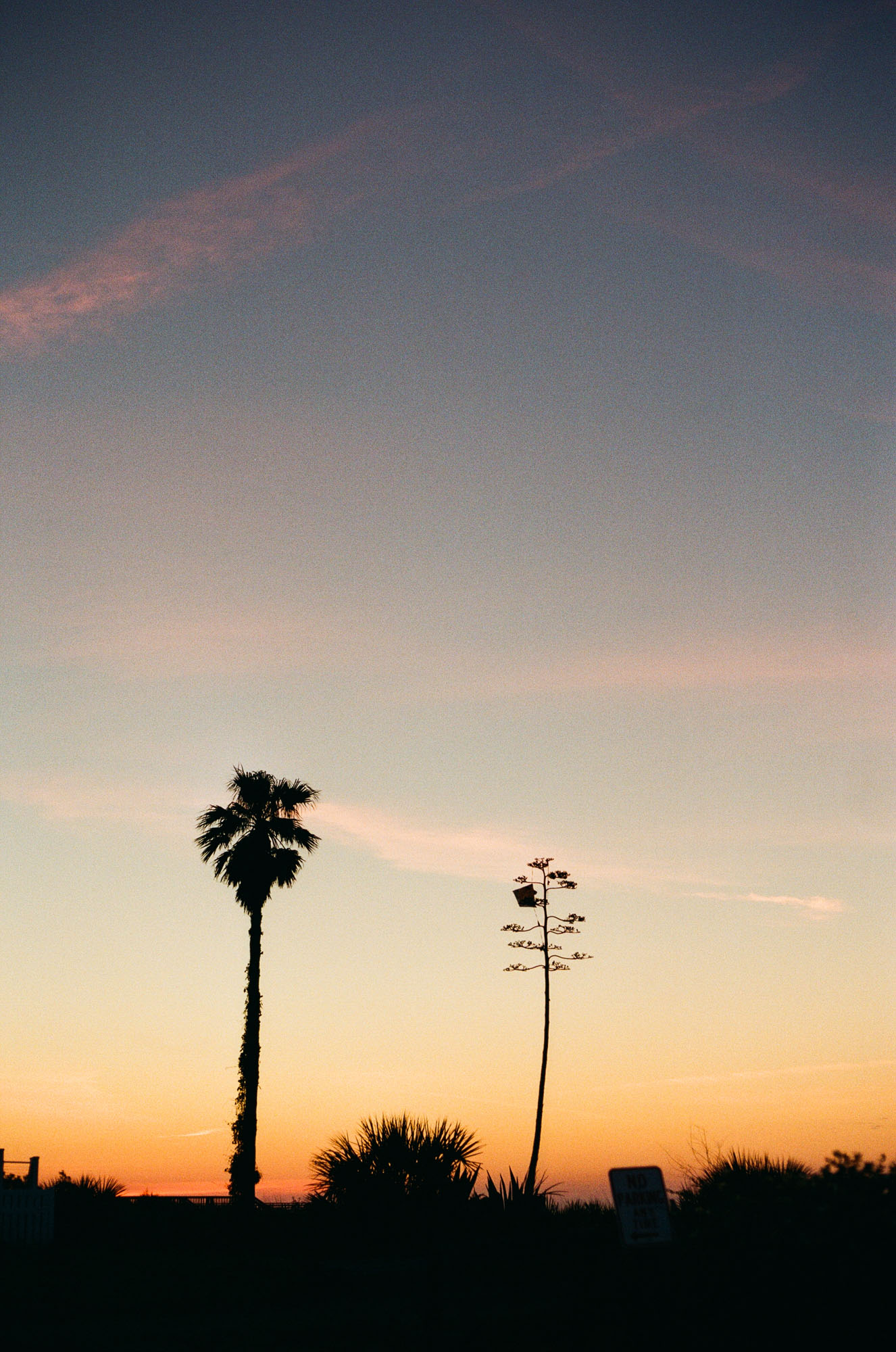 folly-beach-sunrise-charleston-film-photography-35mm-film-analog-charleston-photographer-003