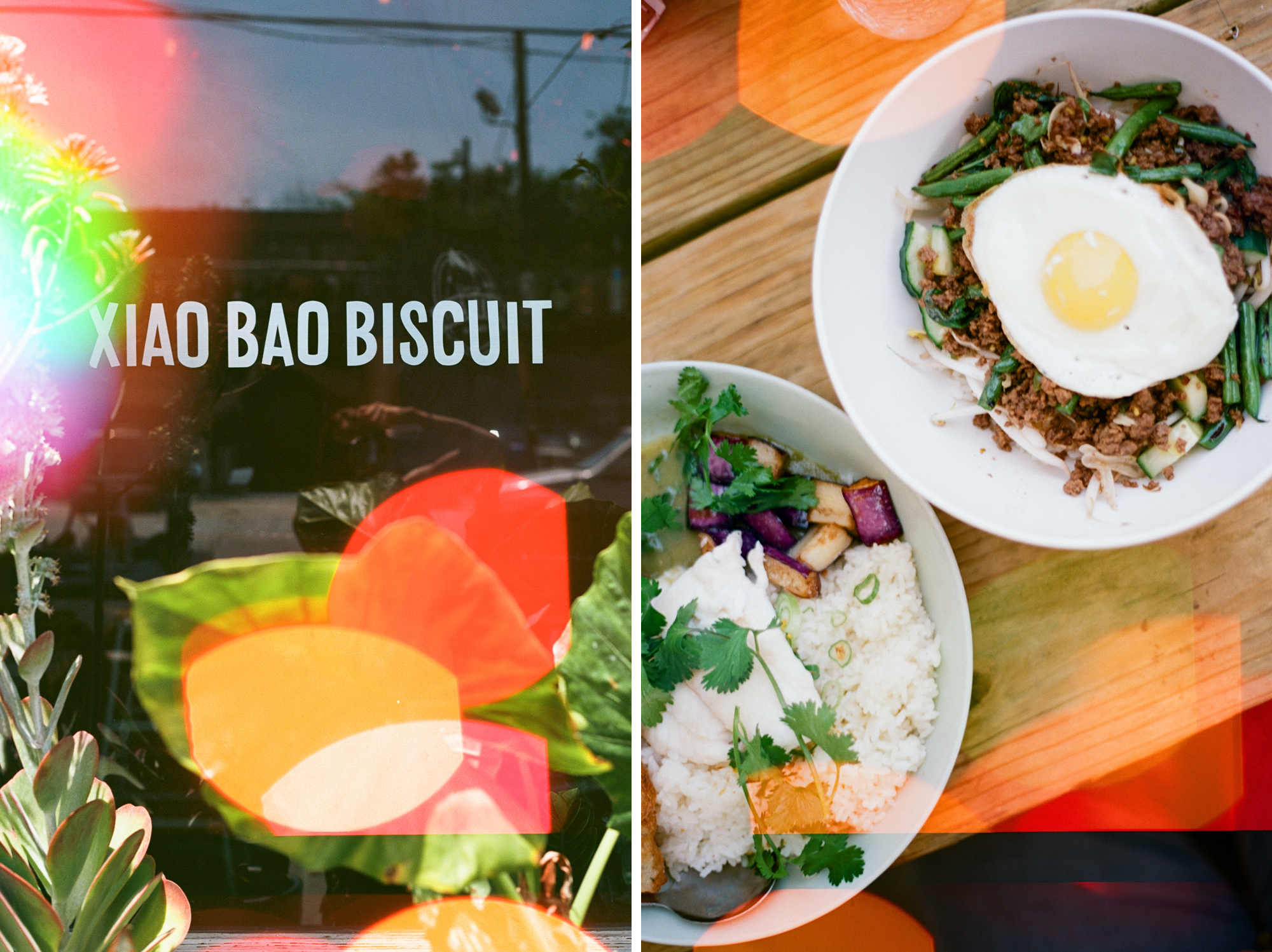 xiao-bao-biscuit-charleston-film-photography-35mm-film-analog-charleston-photographer-001