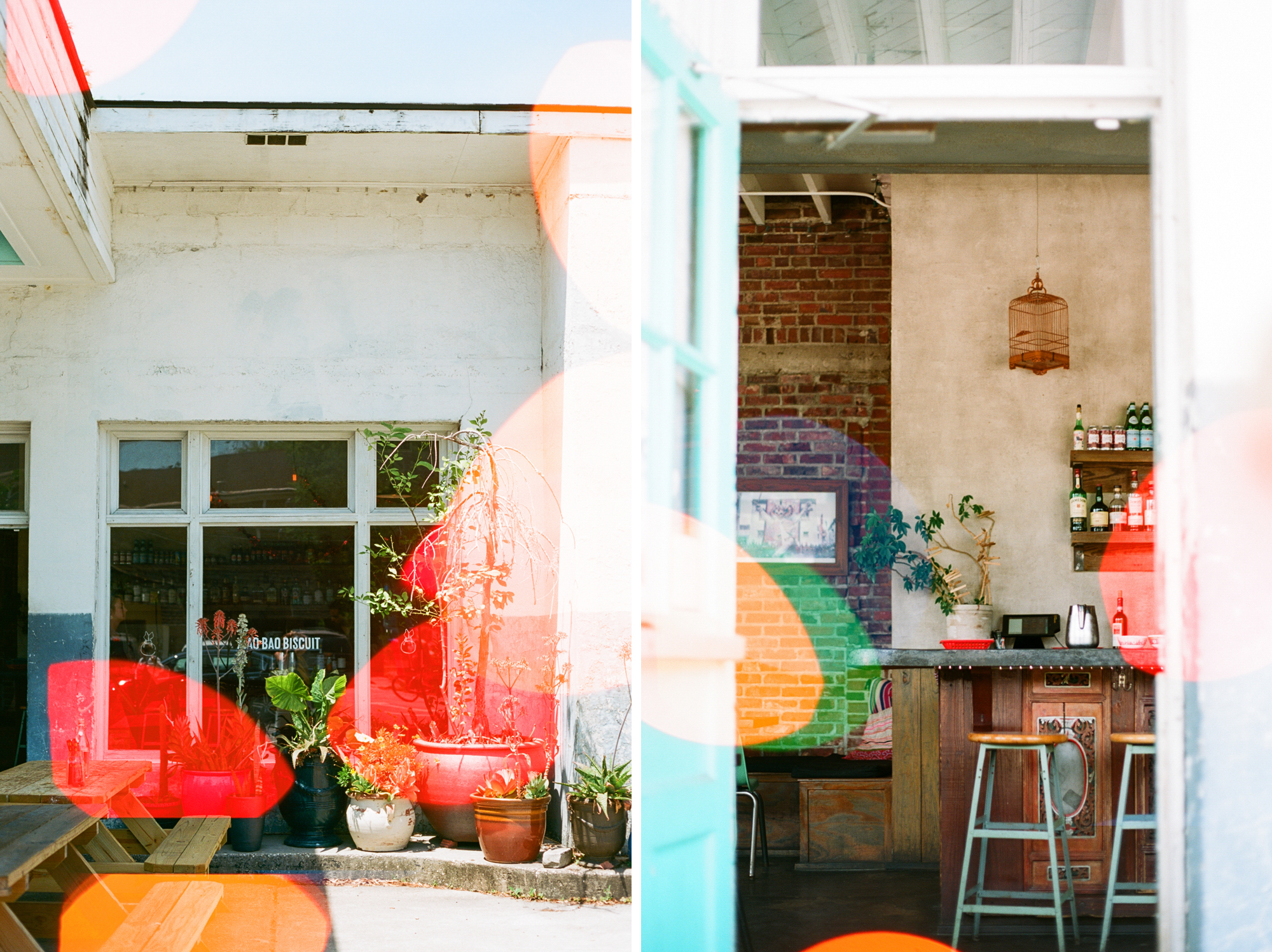 xiao-bao-biscuit-charleston-film-photography-35mm-film-analog-charleston-photographer-001