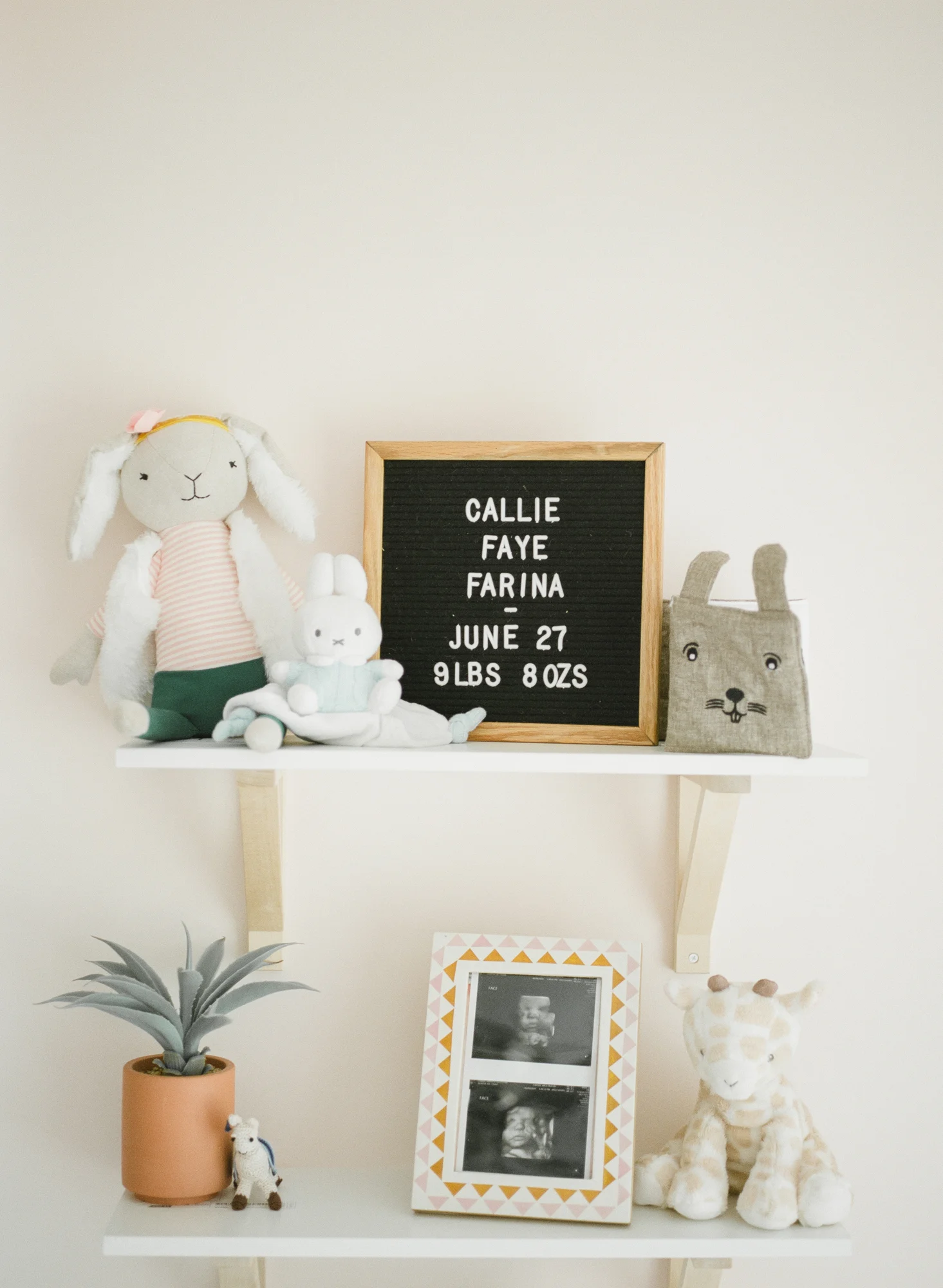 raleigh-newborn-photographer-baby-photography-wake-forest-001