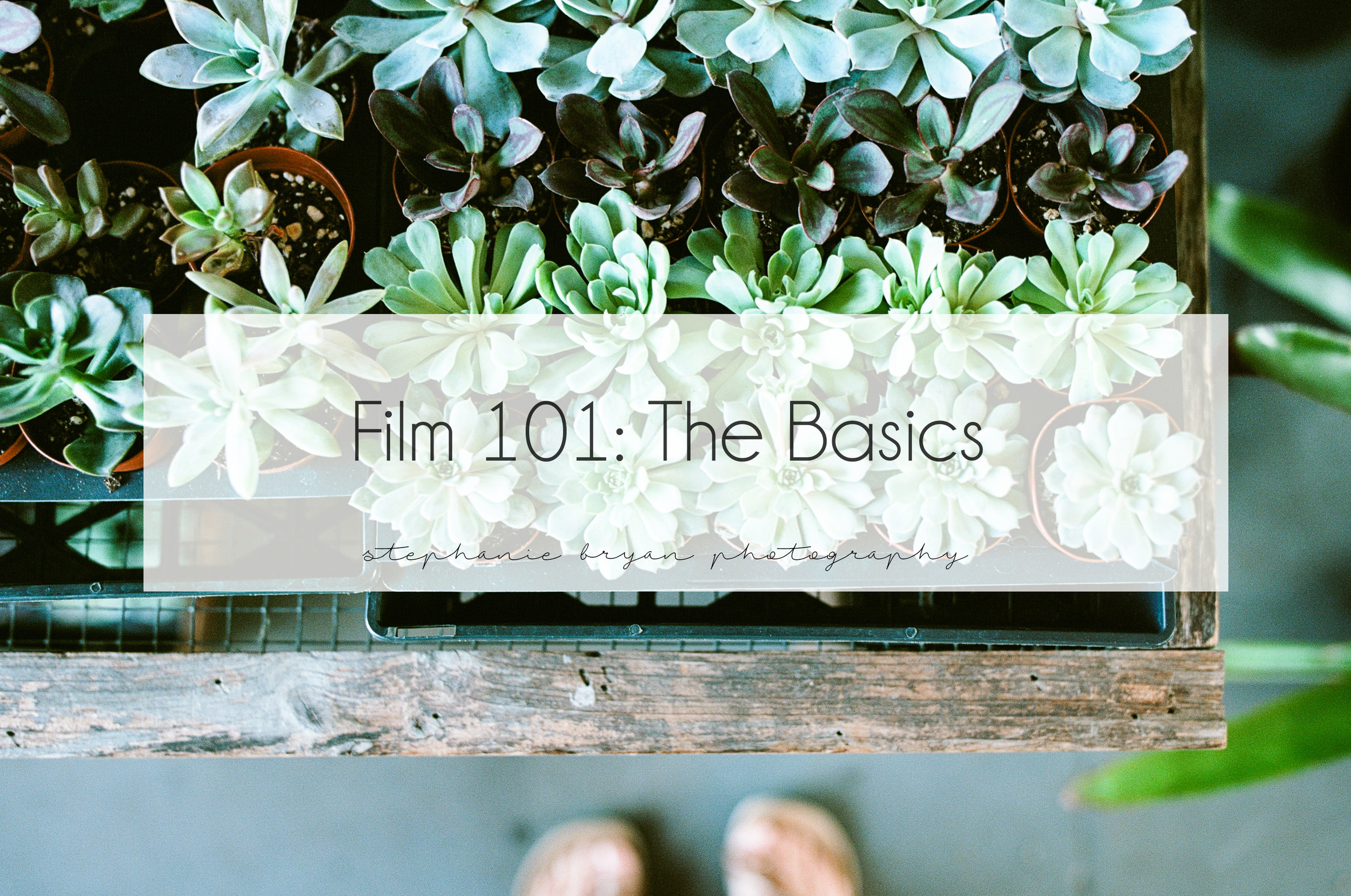 film-101-the-basics-film-camera-analogue-photography-tutorial.jpg