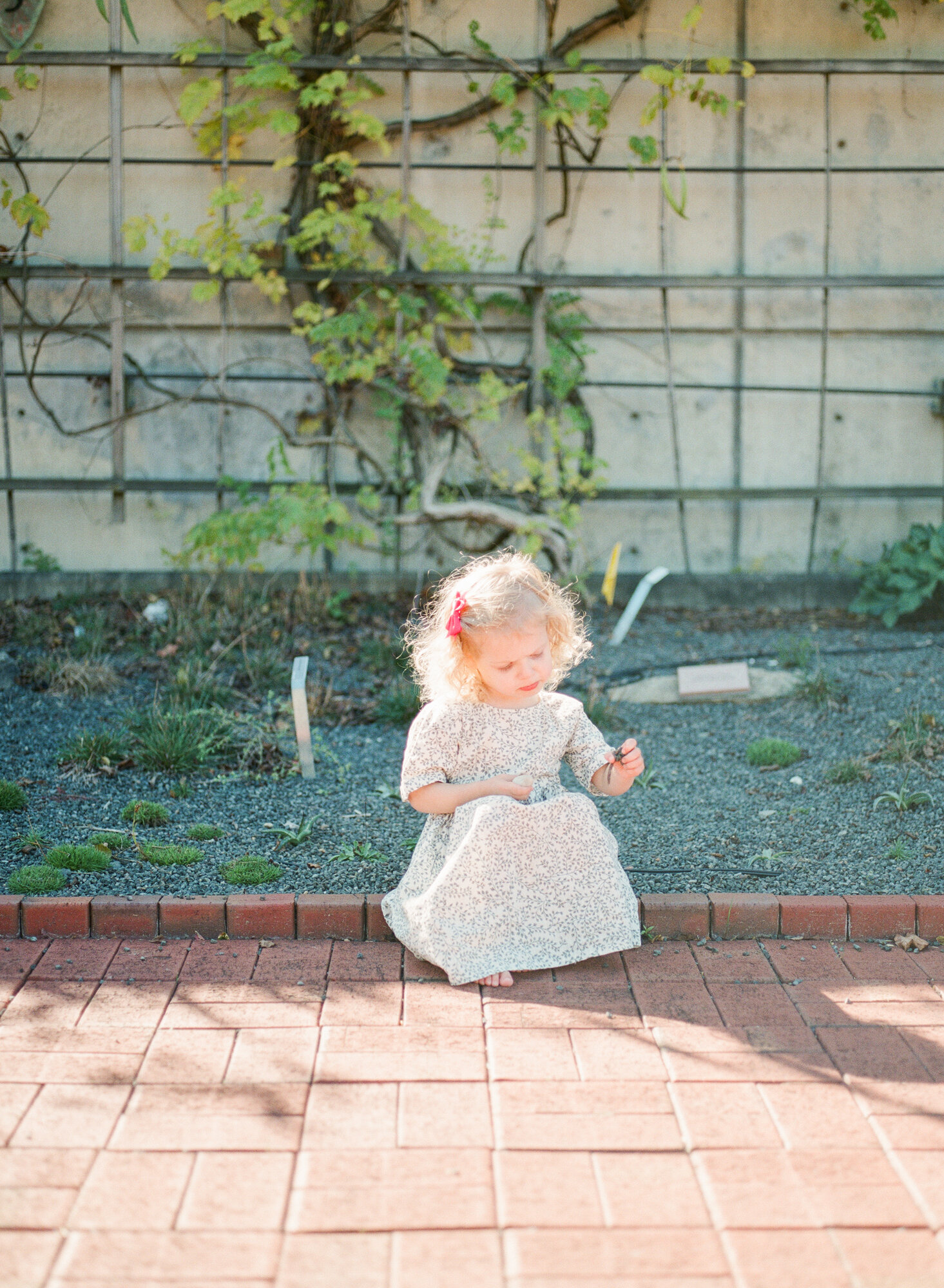 raleigh-family-film-photographer-jc-raulston-arboretum-007