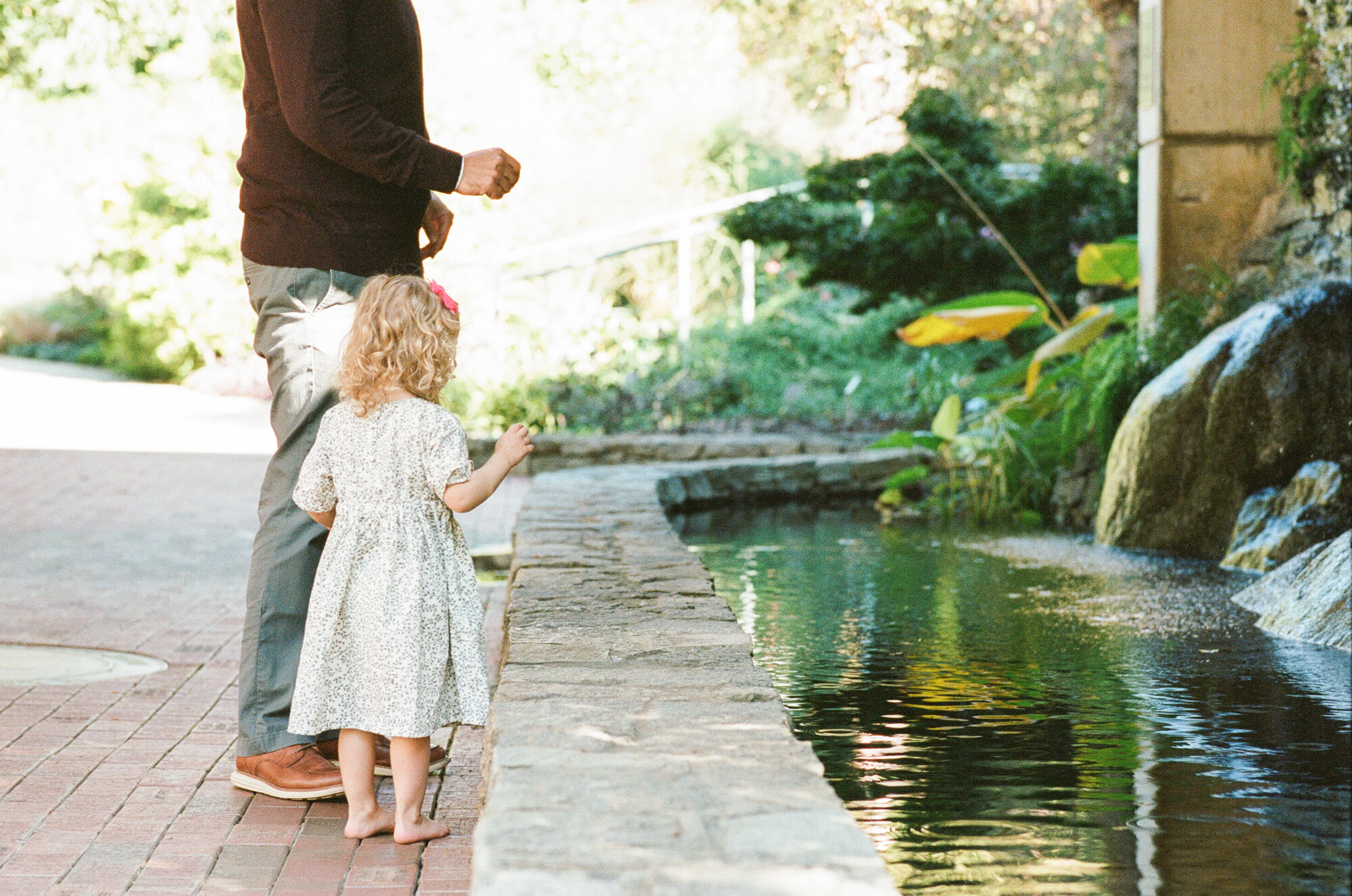 raleigh-family-film-photographer-jc-raulston-arboretum-008