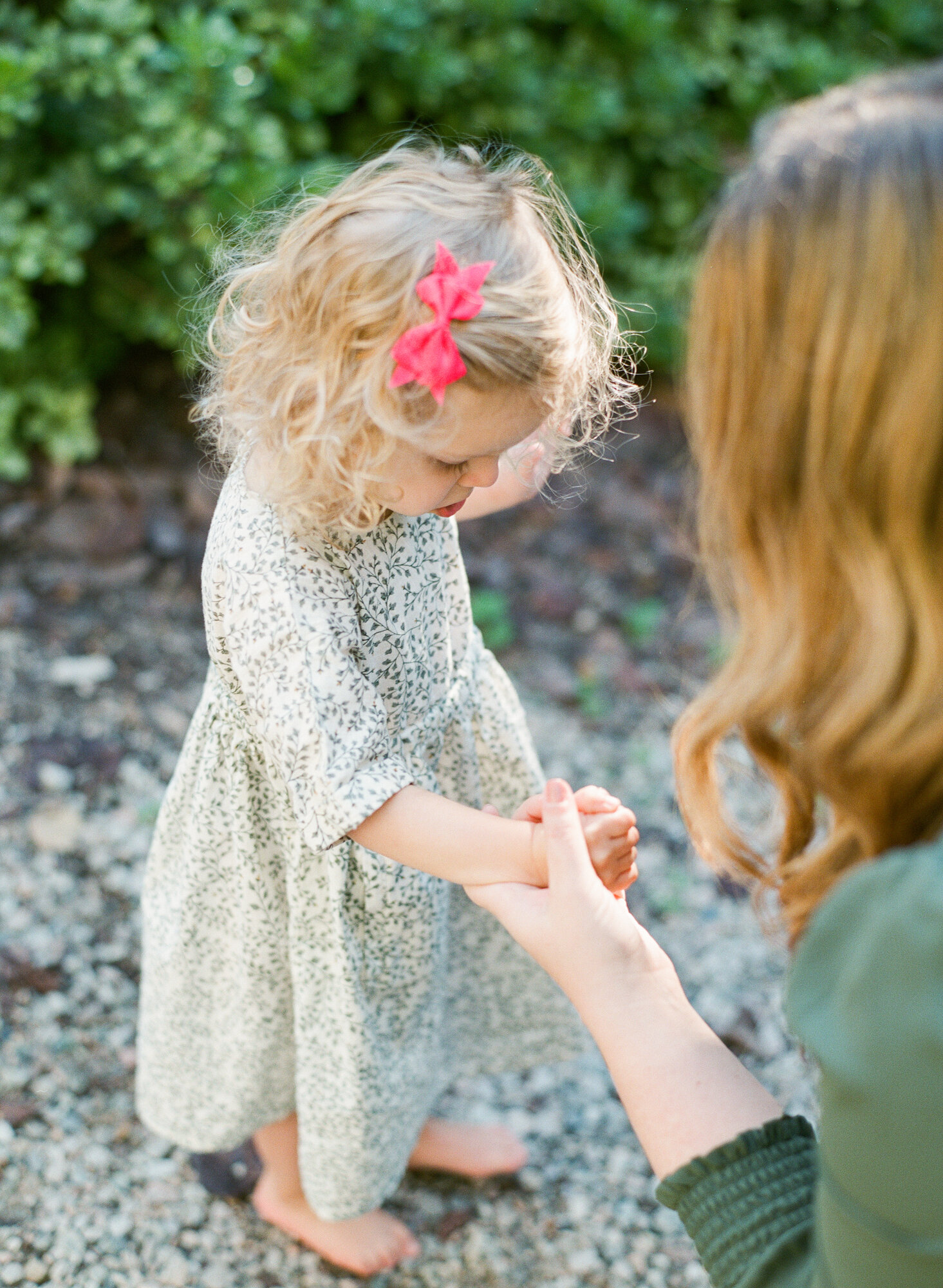 raleigh-family-film-photographer-jc-raulston-arboretum-005