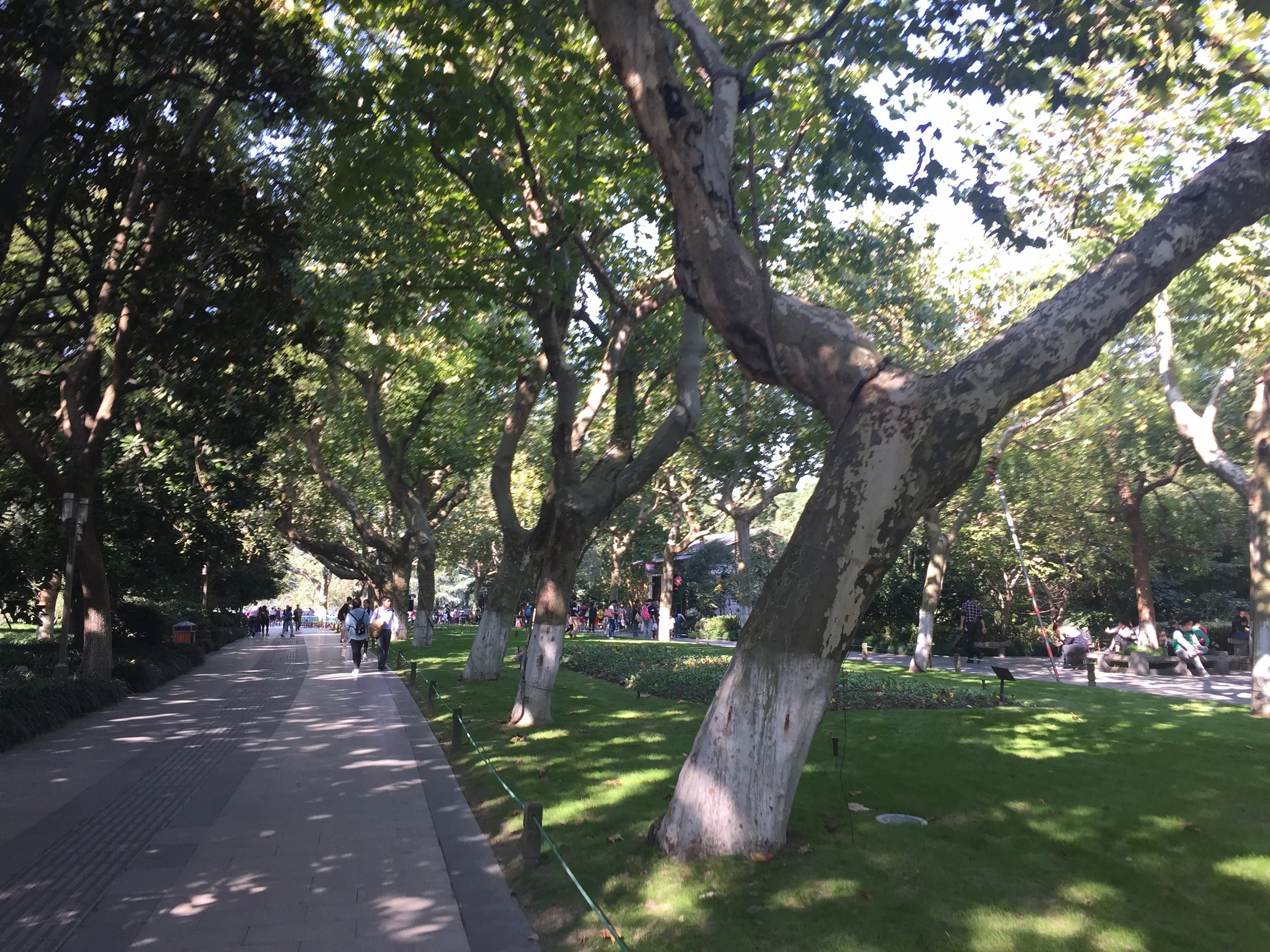 Hanzhou walkways