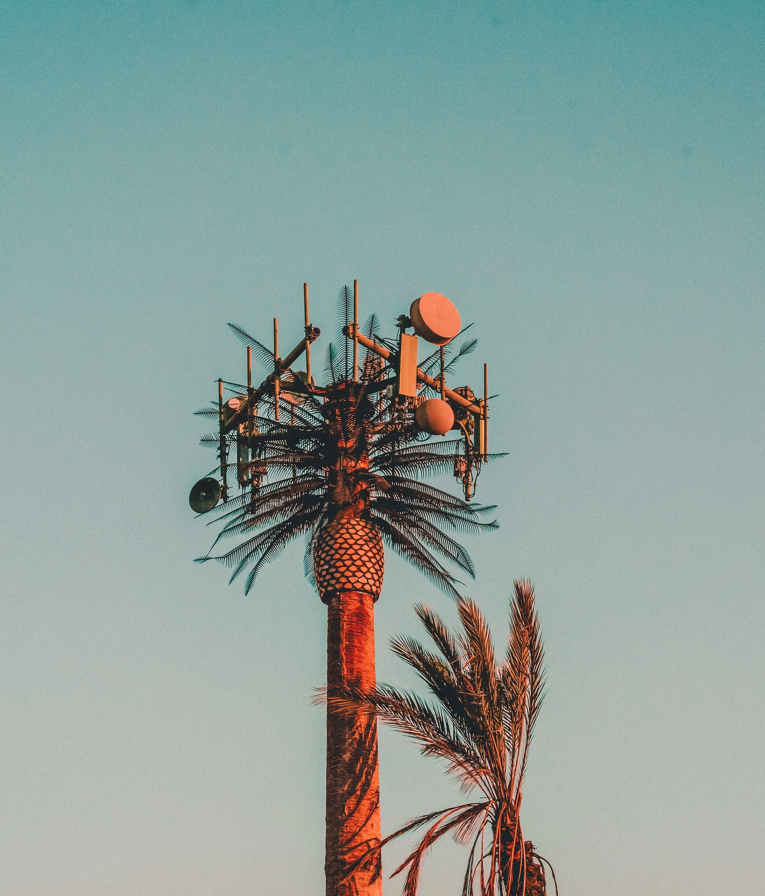 City leaders can now predict the future with 5G