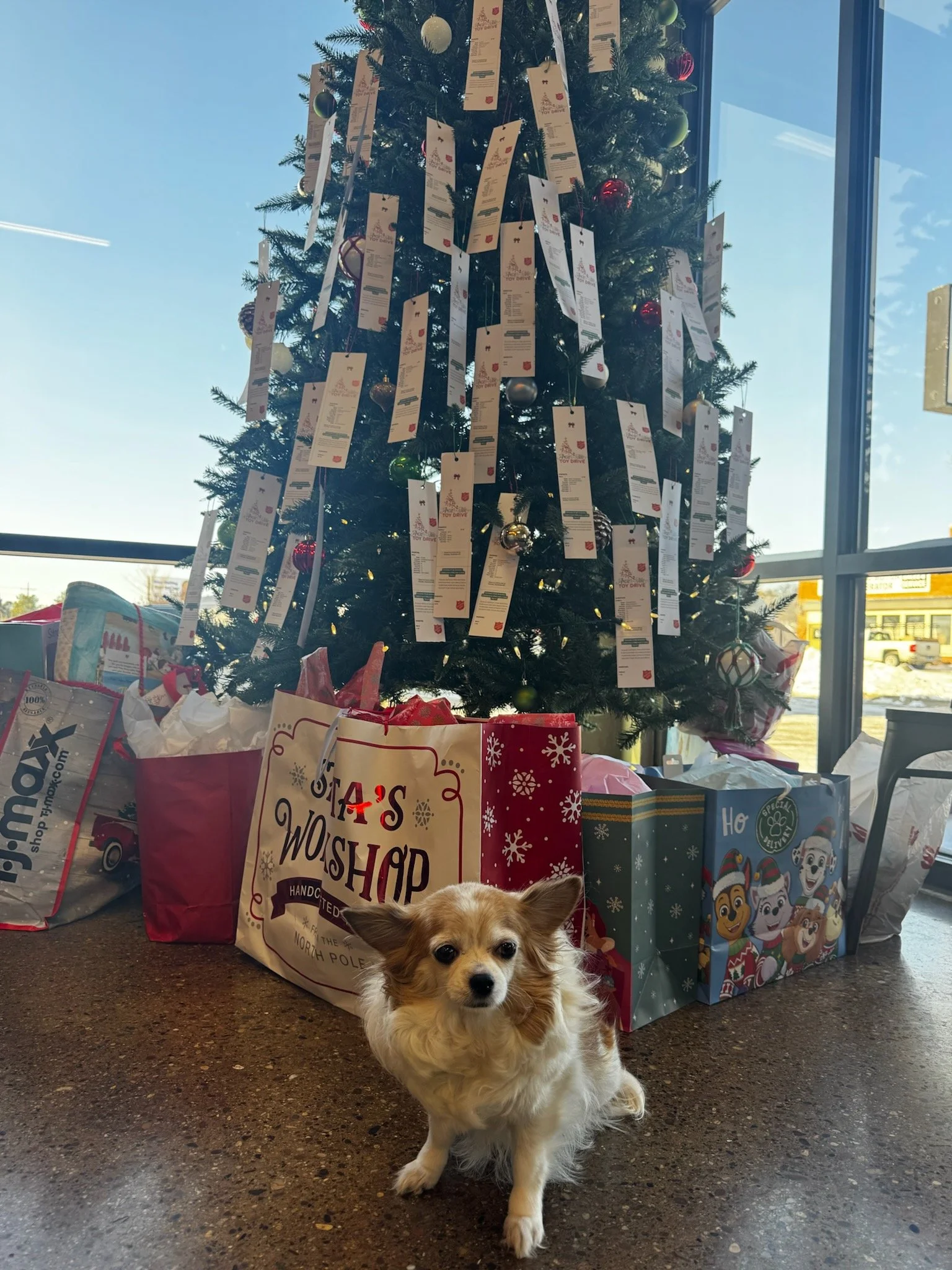 connie angel tree 2025.png