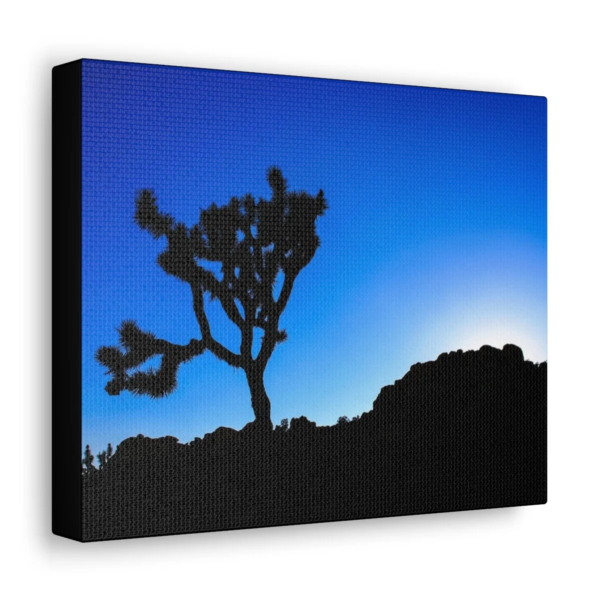 5e7663391eb4e4be5f2afd6f917b0a55