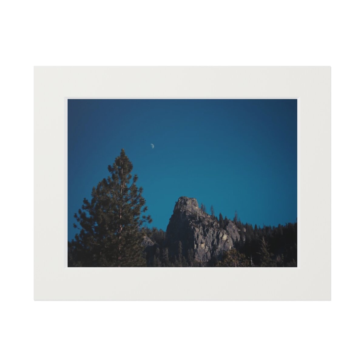 17772a5b8e73db0d4a0c3d6294eba3ca