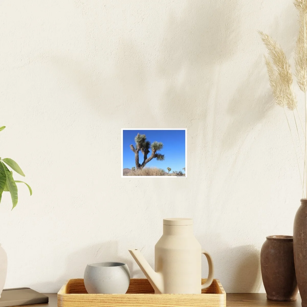 37f03cd0e21f714a01162b02f814ae5d