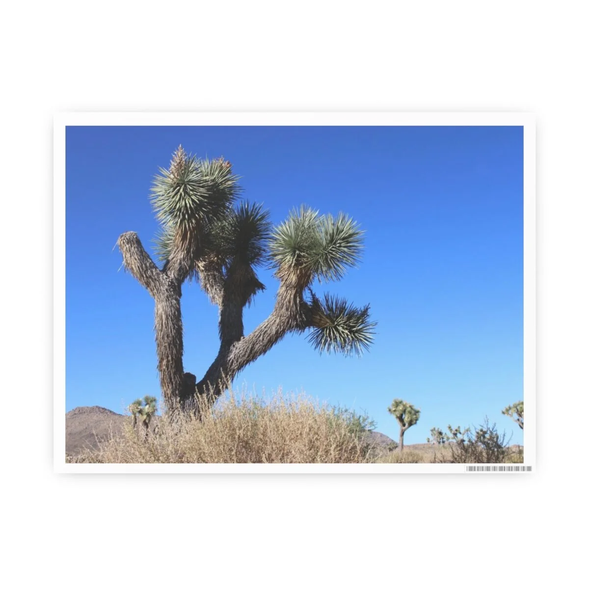 f989b7ed99b425603f8412359b34f087