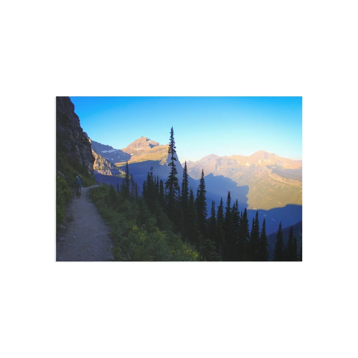 d78546f787494436b7c0a22c57dee89f