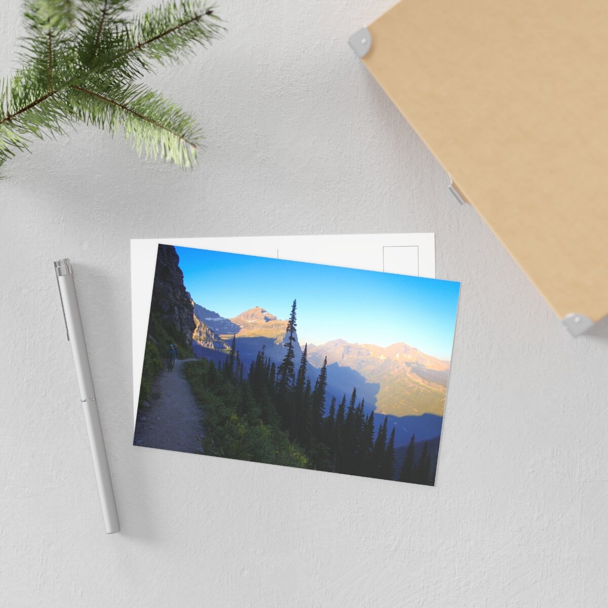 a9887b44a3ee5555b34bd5edaf286523