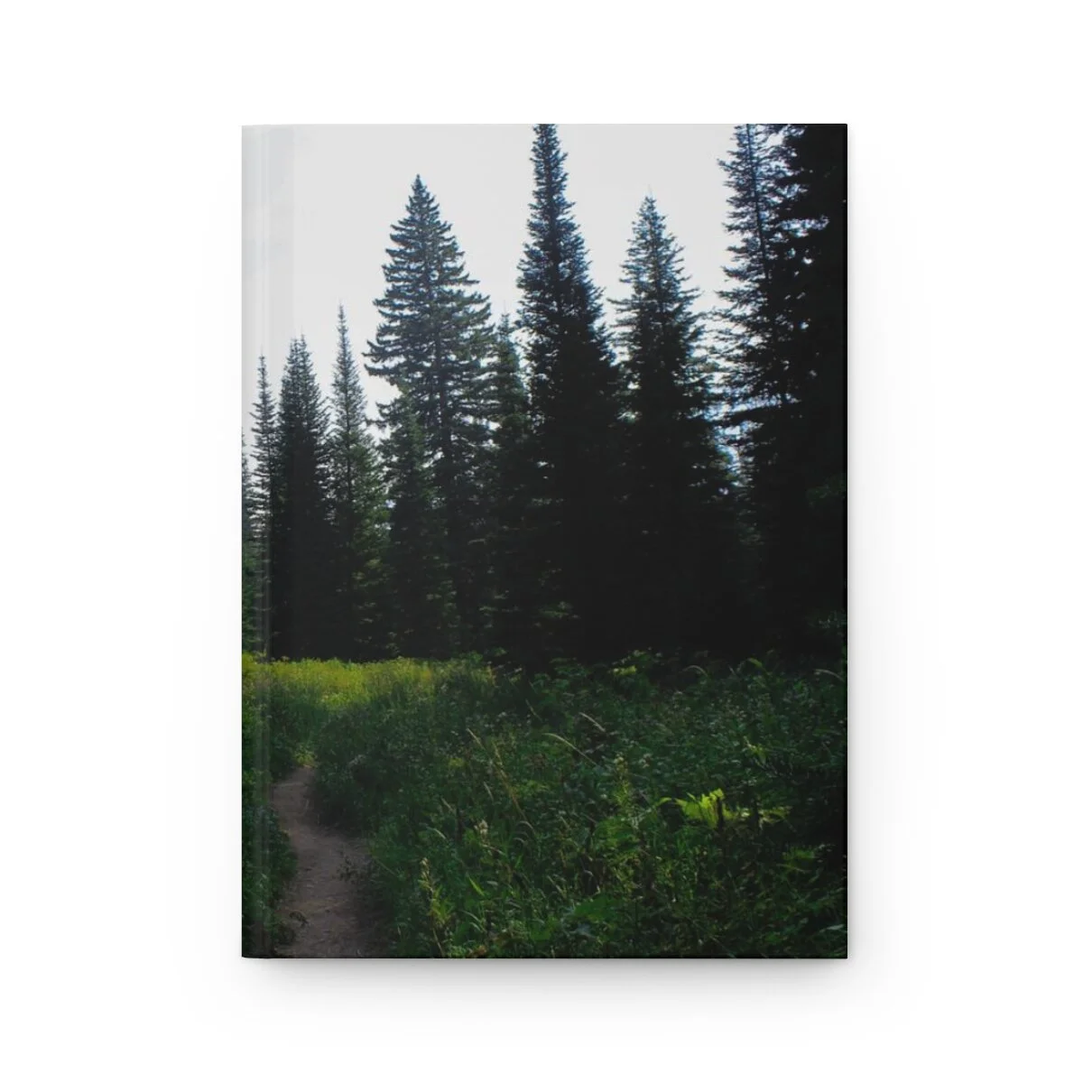 660da152b3bf44a43b301755ae853223