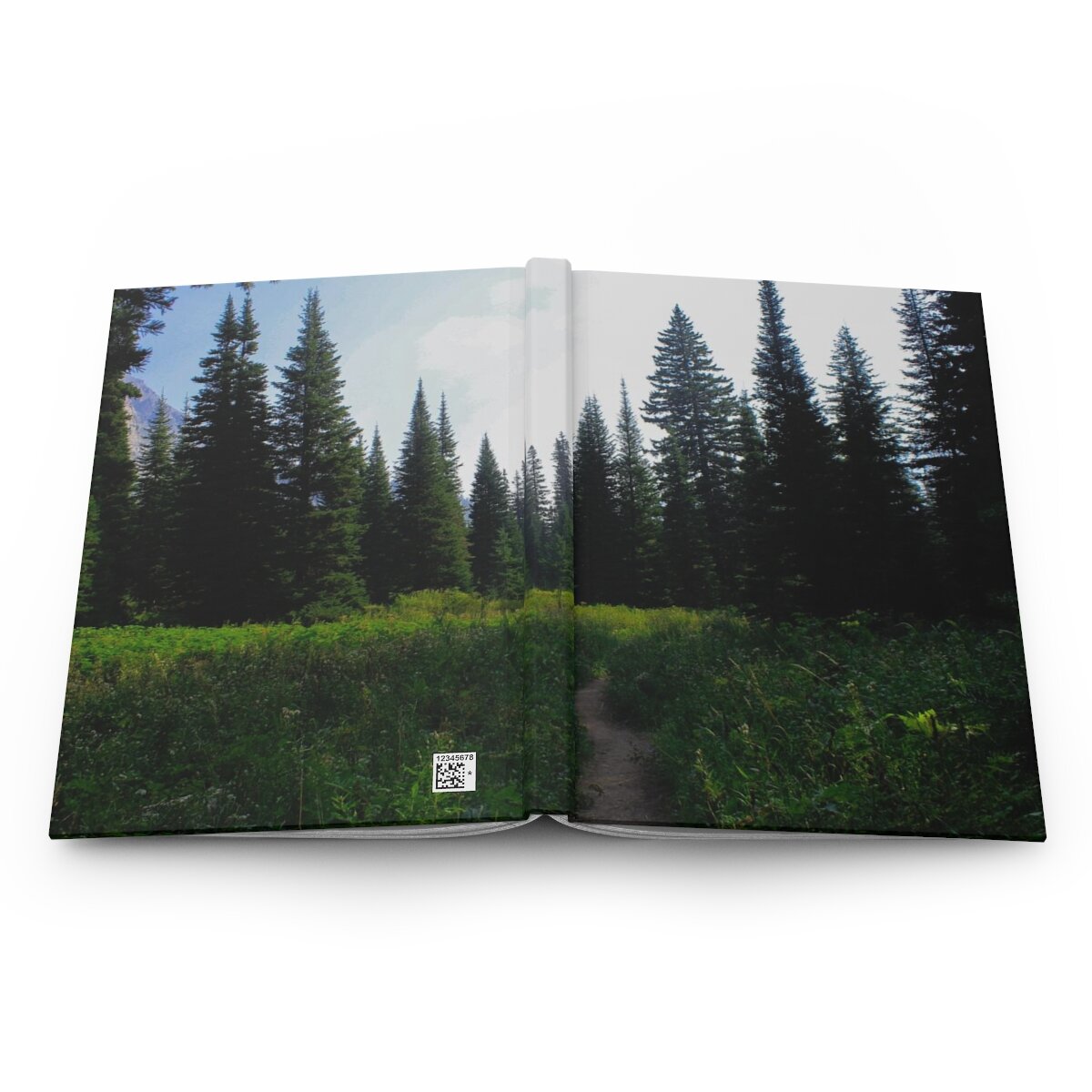 42fd422619bf21d89d13dc5d490fd73c